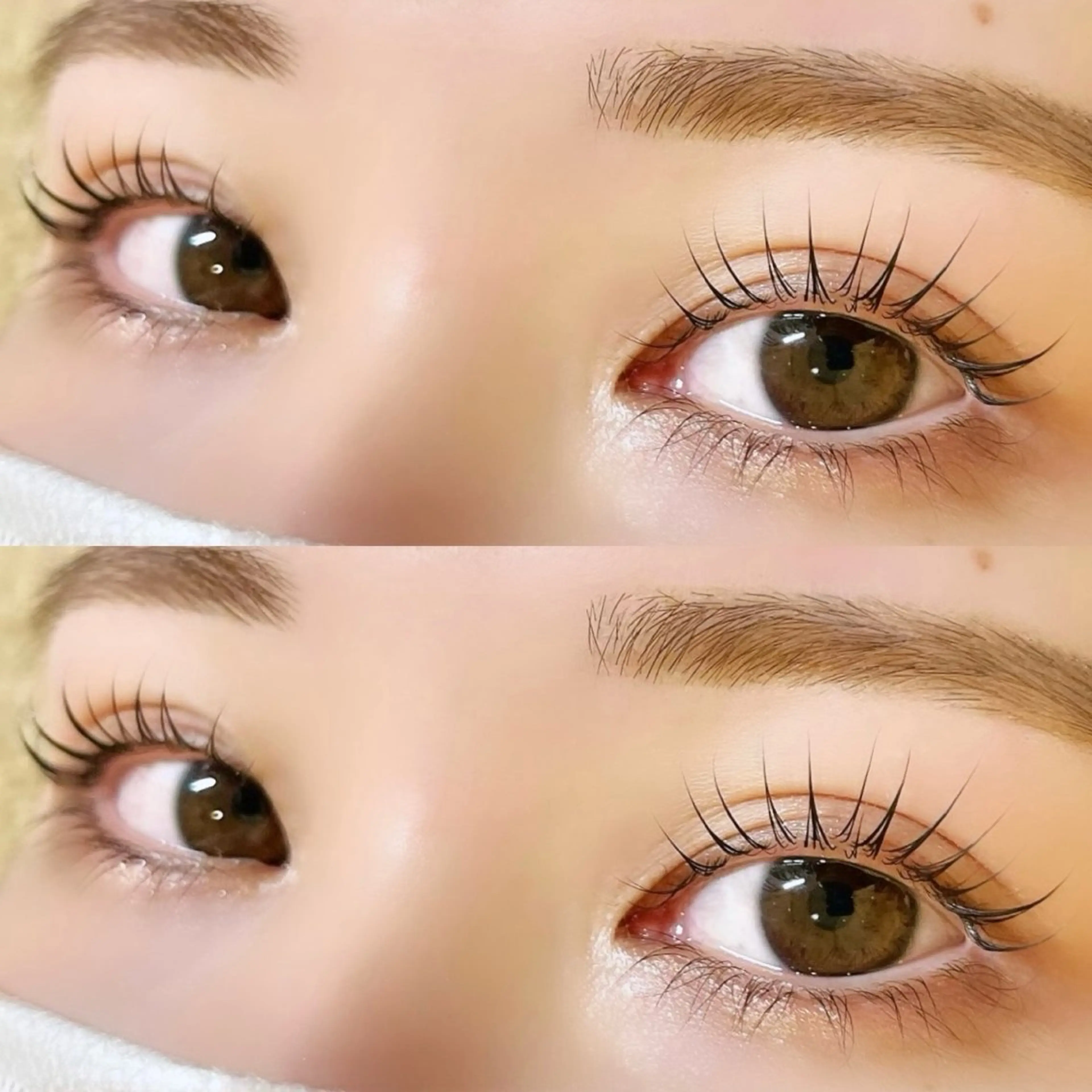 マツエク・マツパ 束感/LED/まつパ 🌼segawaのマツエク・マツパデザイン