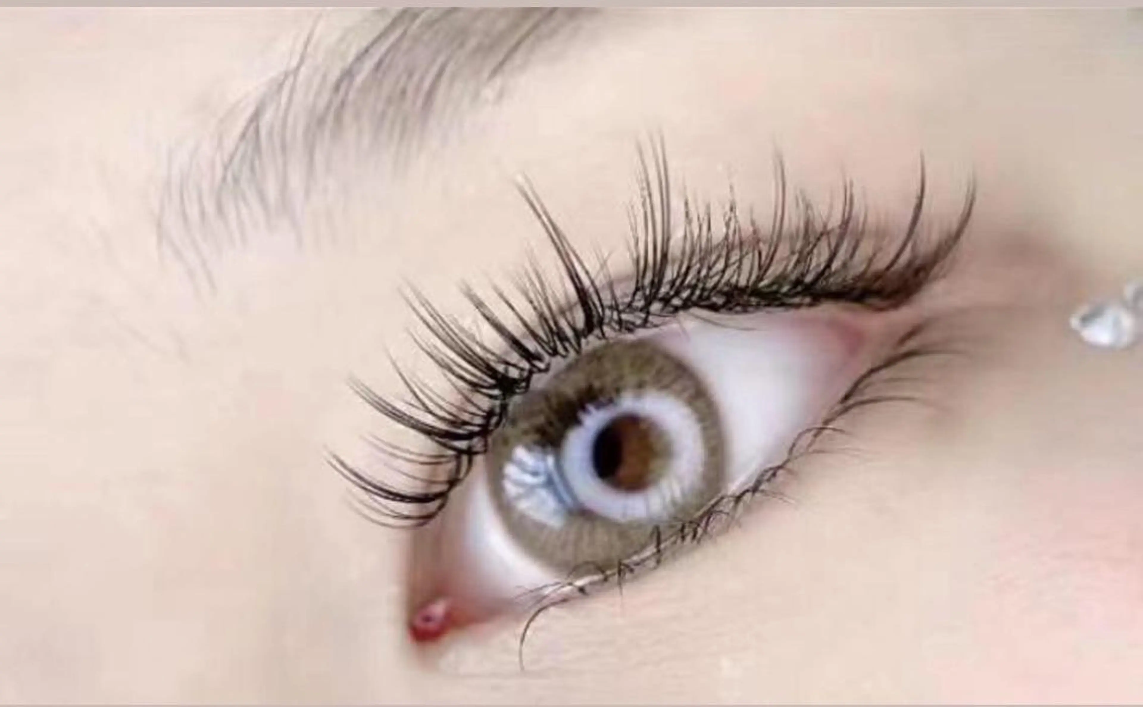 🇨🇳中国🇨🇳綱紅🐼新メニュー オフ込み ワンホンマツエクの写真