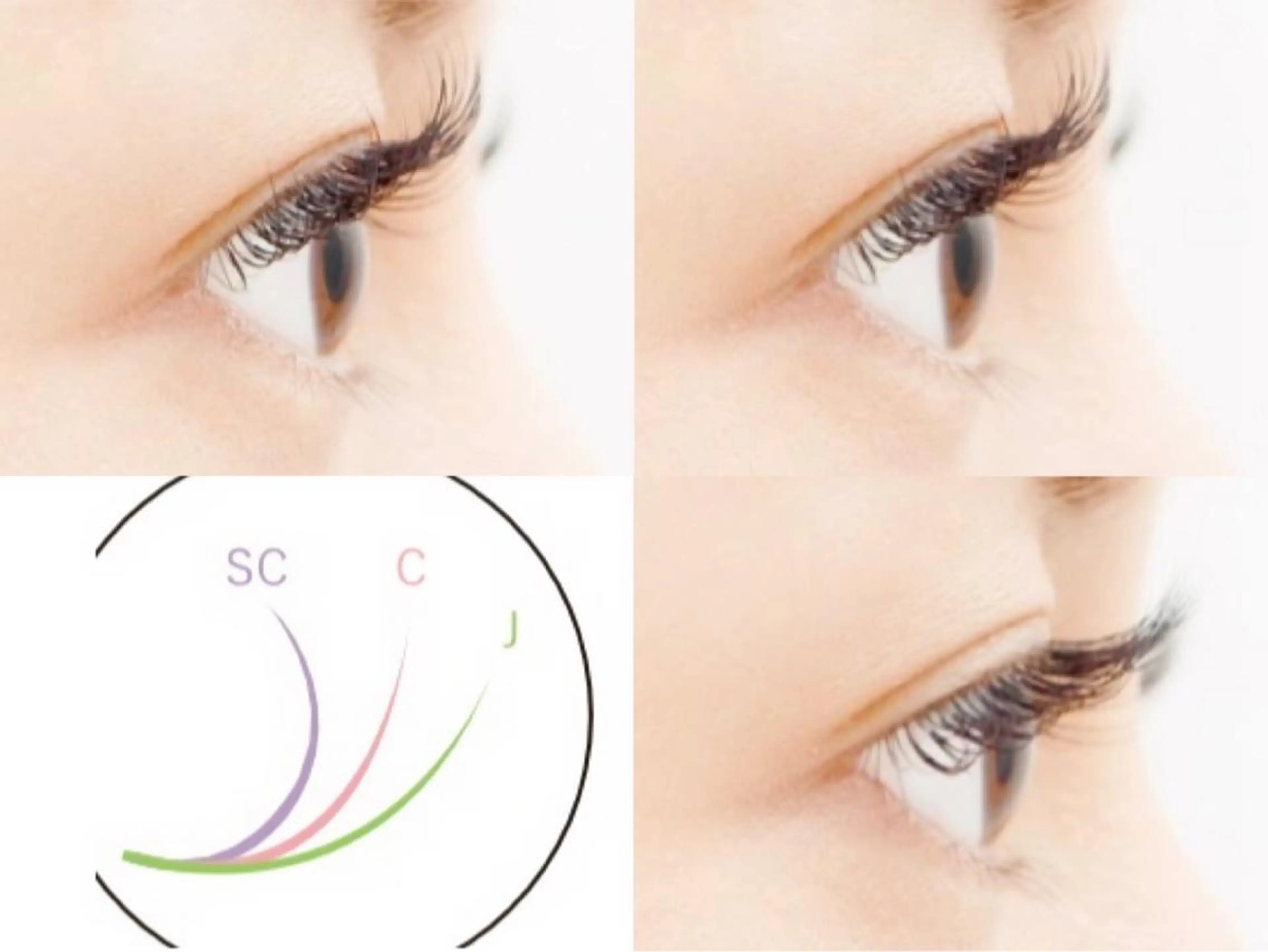 マツエク・マツパ Orange Camelのマツエク・マツパデザイン