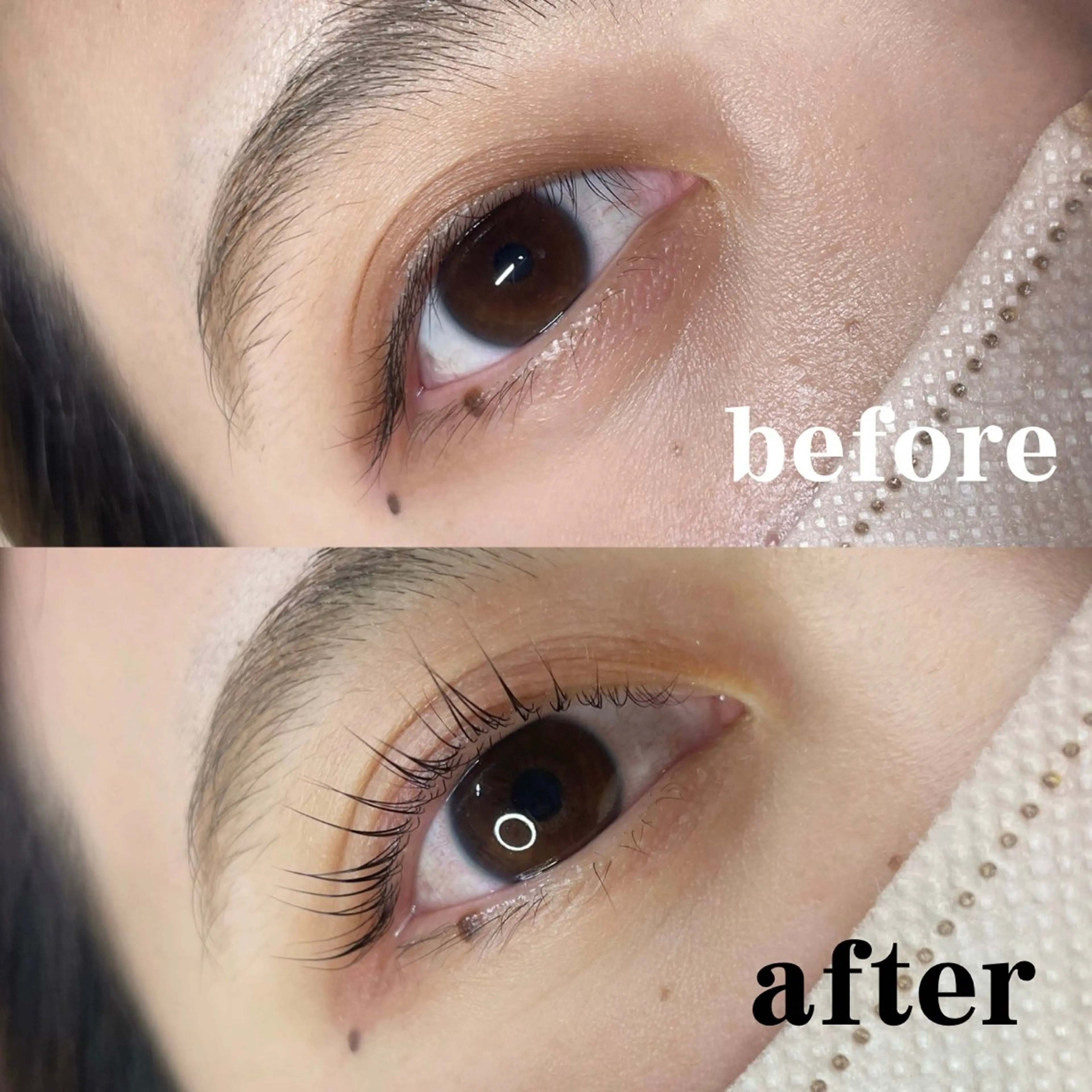 マツエク・マツパ ボウ🪞ヘアセット /マツパ/眉毛のマツエク・マツパデザイン