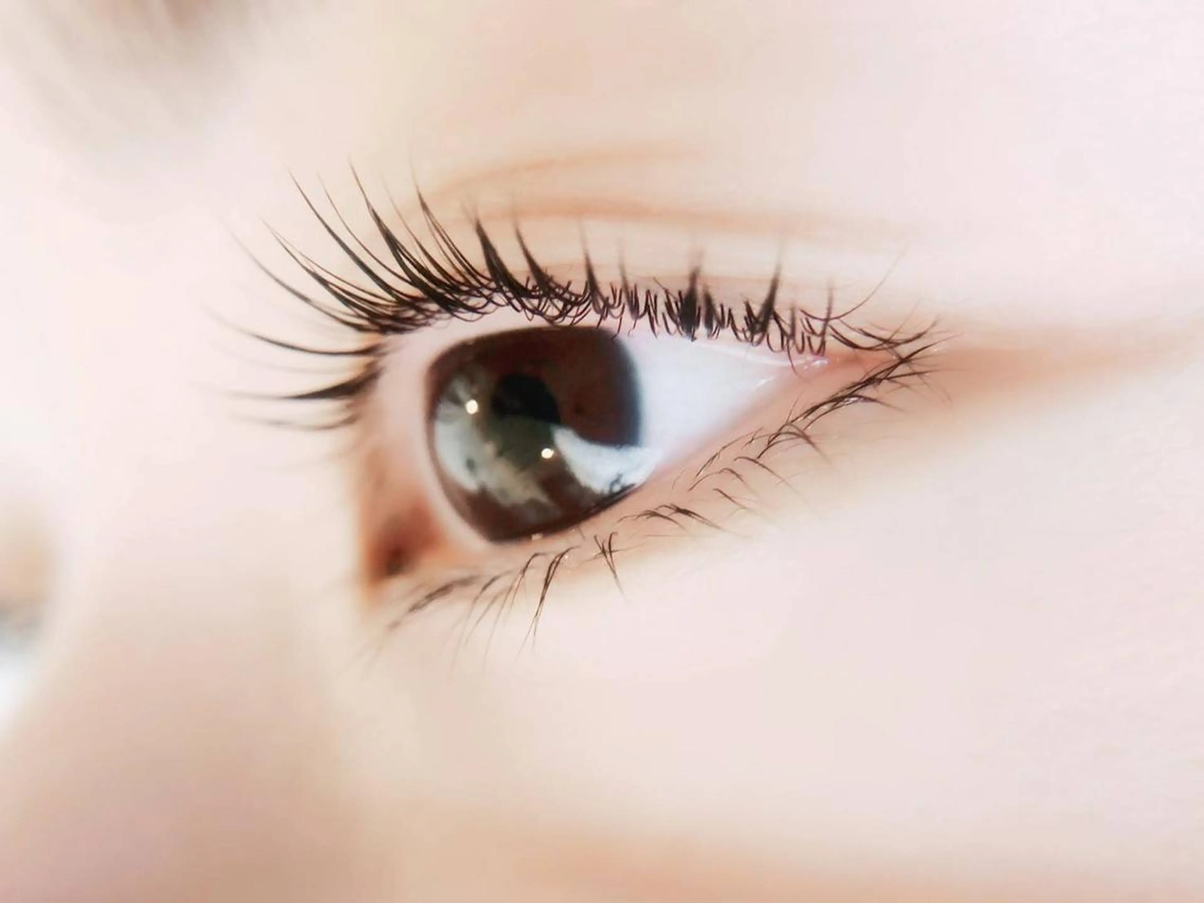 次世代まつ毛パーマラッシュリフト【美容液コーティング仕上げ】の写真