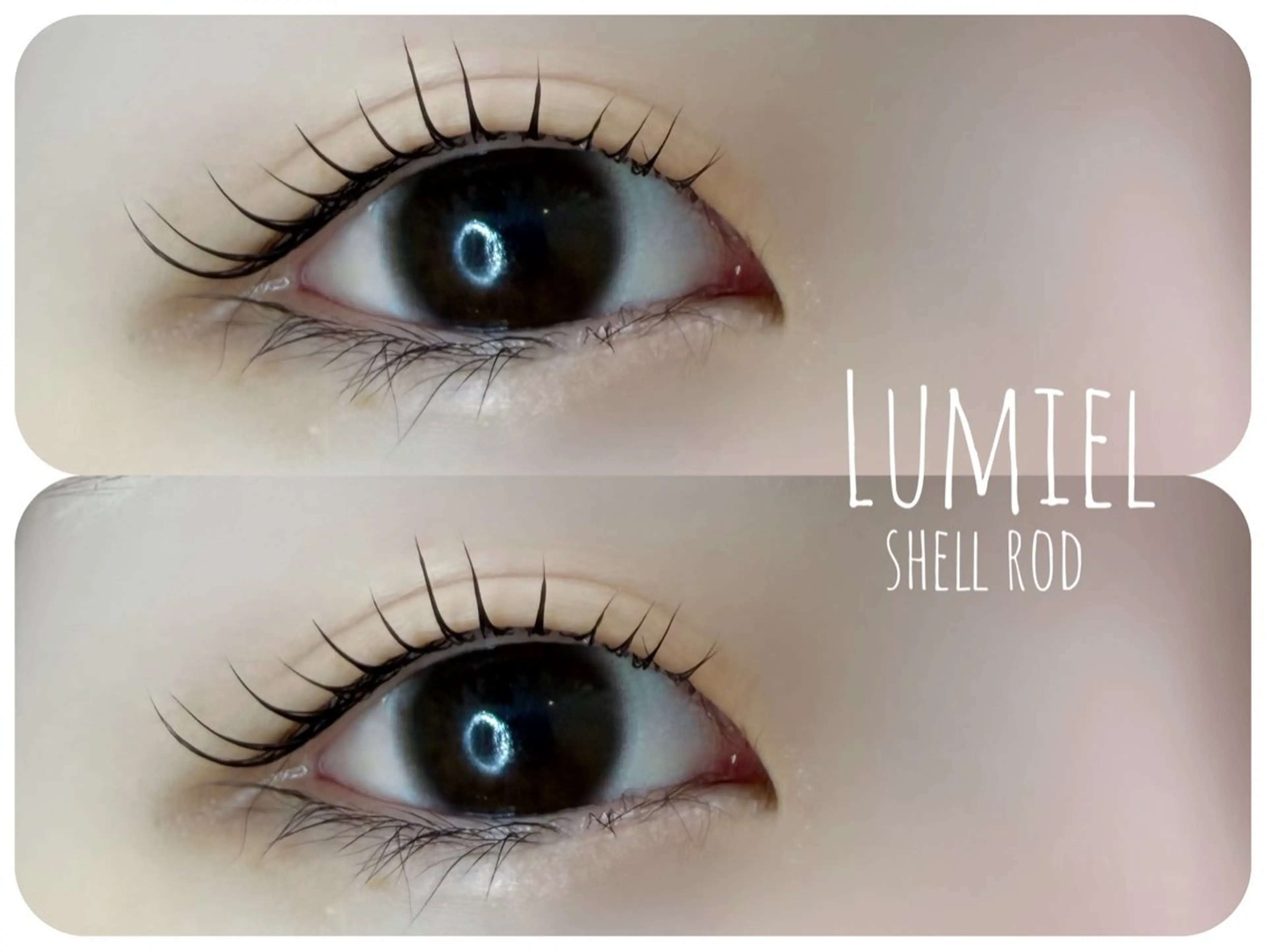 マツエク・マツパ マツパ HAYASHI MEI🐶🐾のマツエク・マツパデザイン