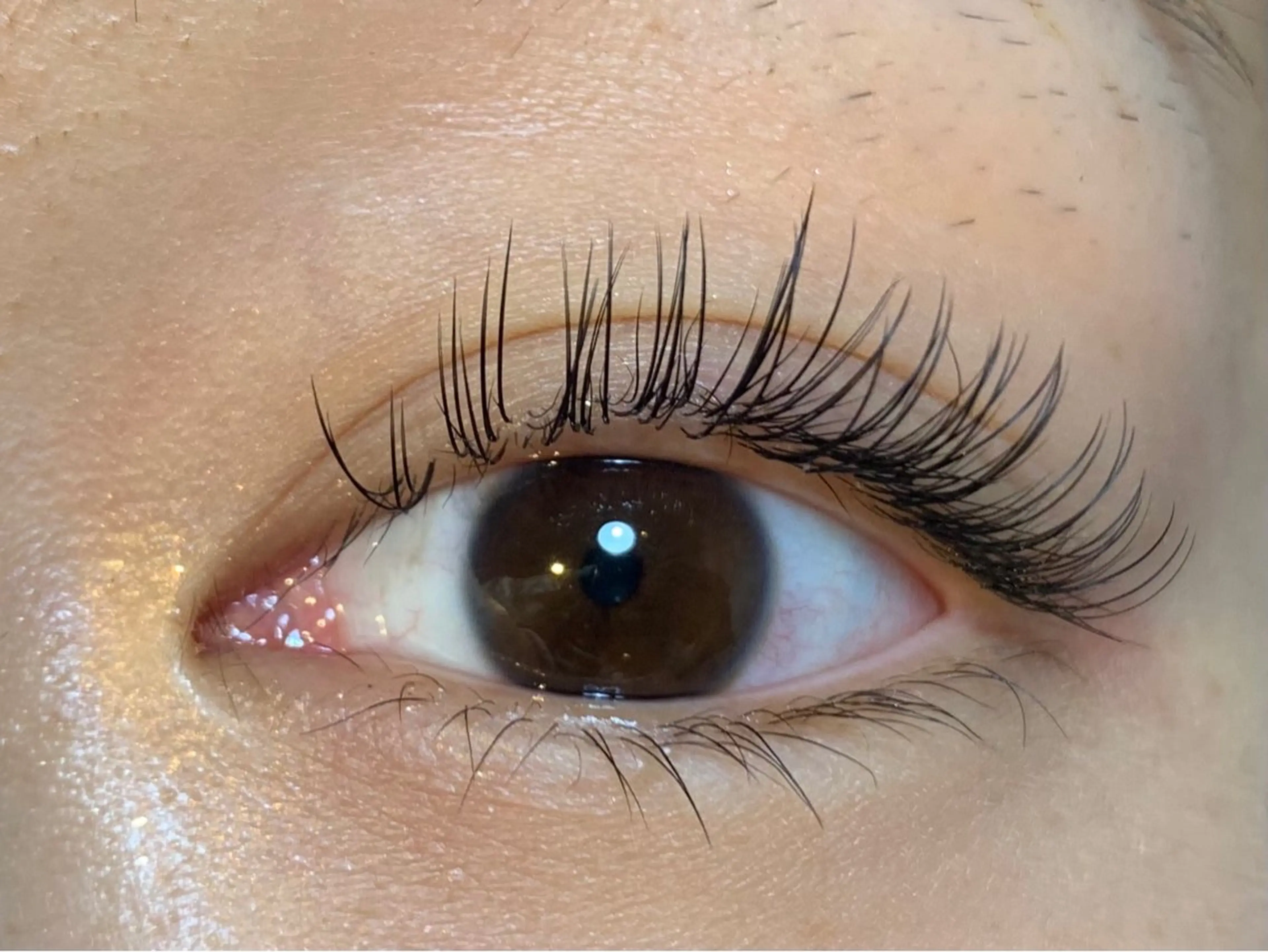 マツエク・マツパ LUCIDO natureのマツエク・マツパデザイン