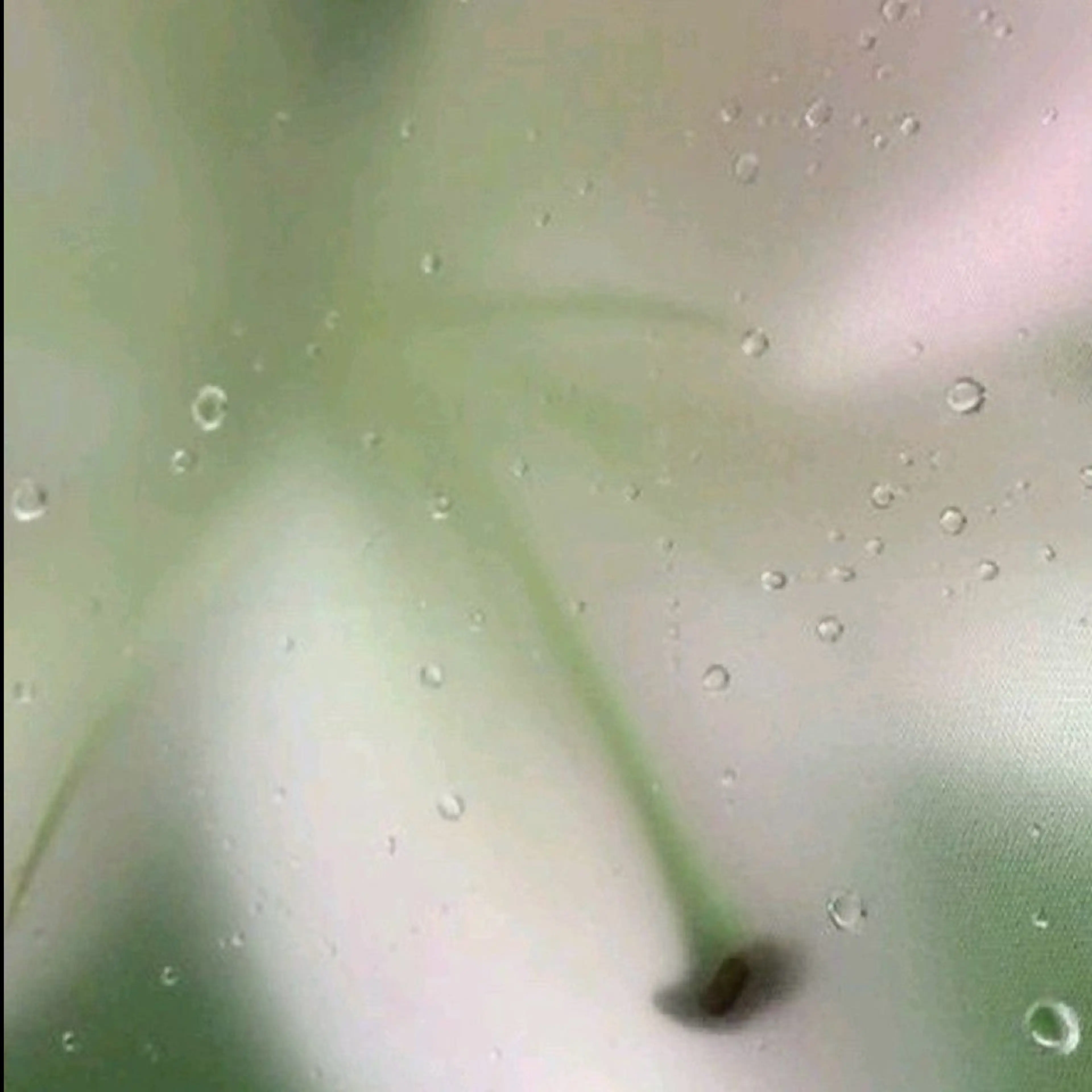 他店エクステオフのみ(LEDの場合ご連絡ください📩)の写真