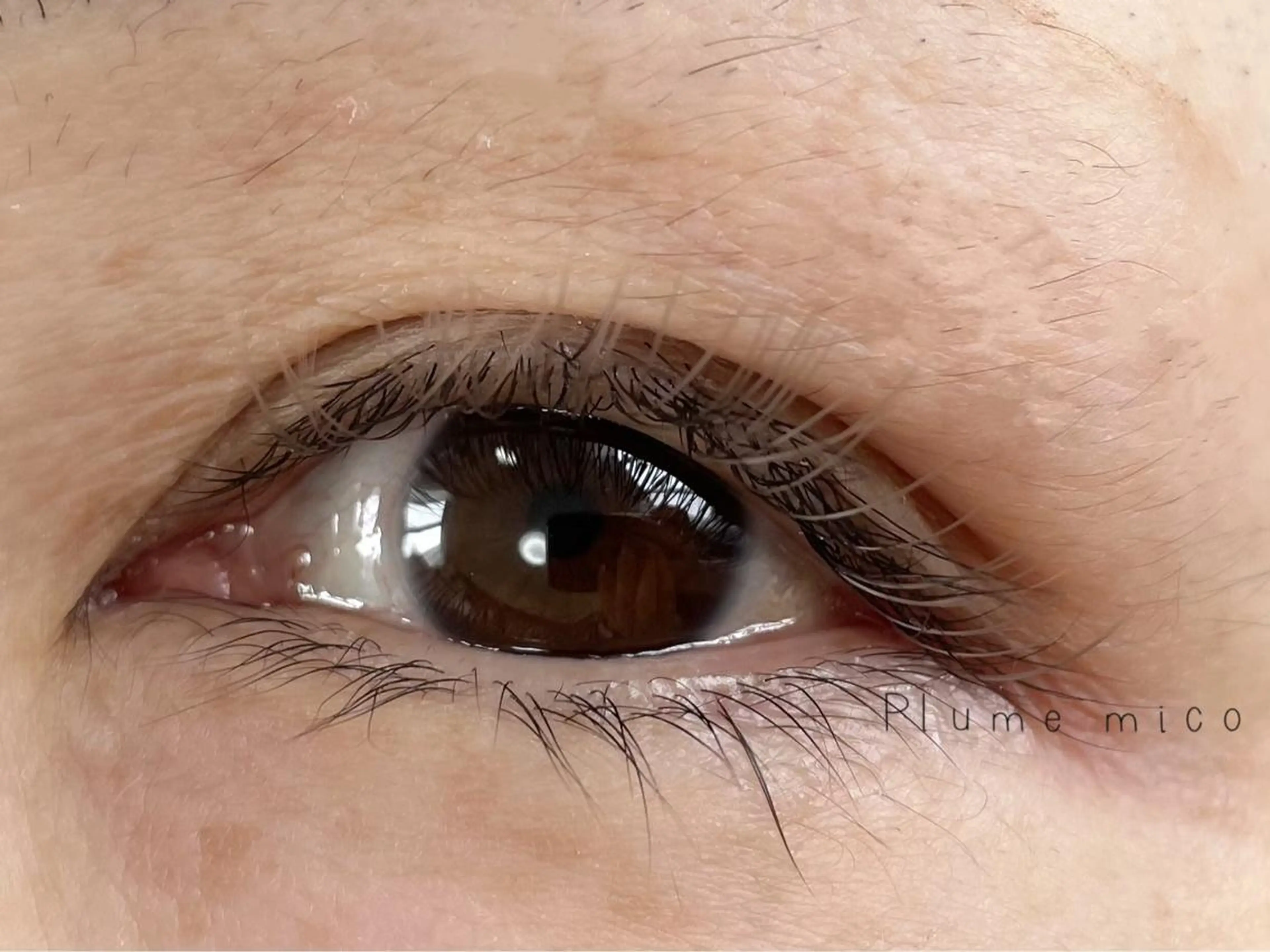 マツエク・マツパ マツエク Plume micoのマツエク・マツパデザイン