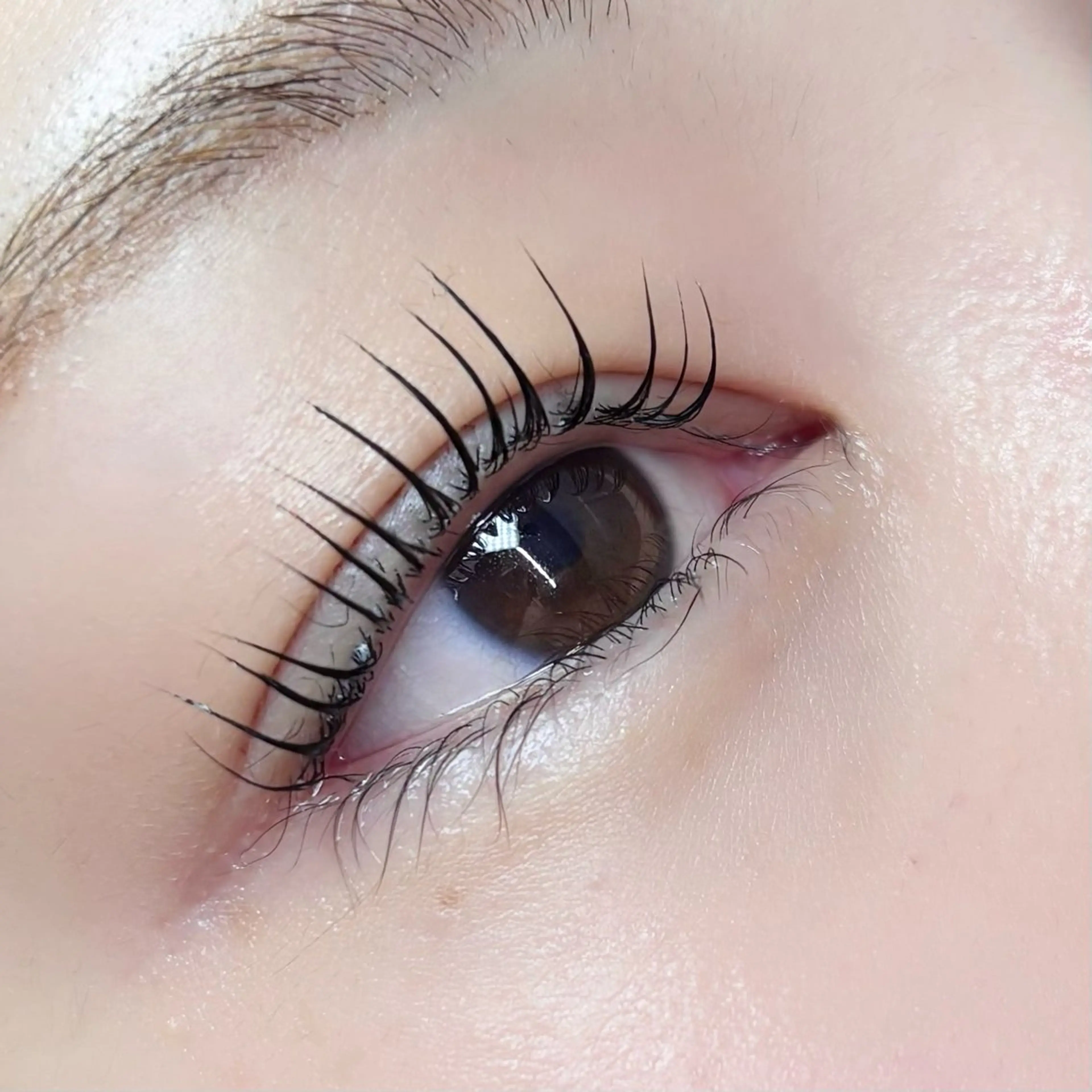 マツエク・マツパ Seek🎀 Aoiのヘアスタイル