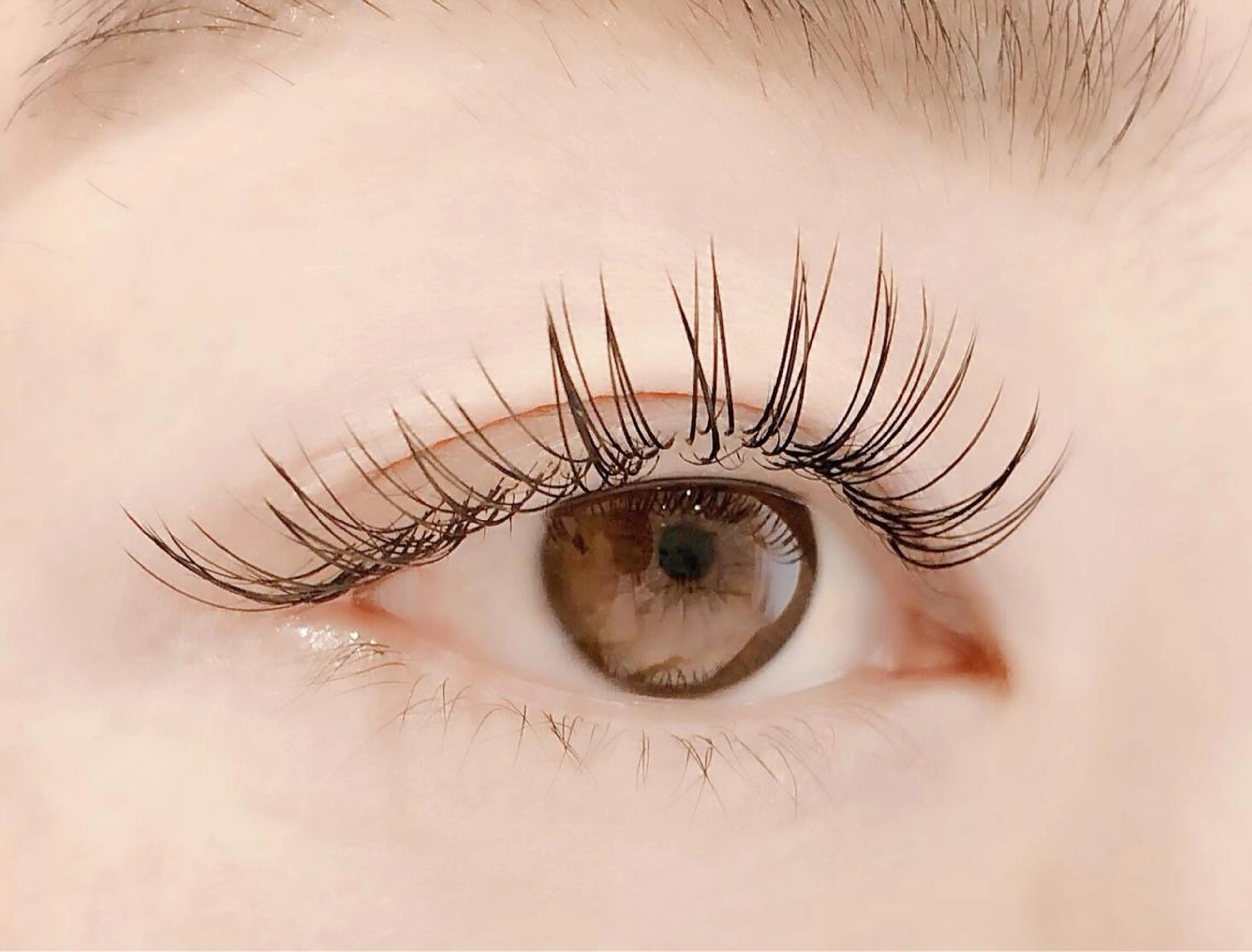 マツエク・マツパ eyelash "Koa"🕊🤎のマツエク・マツパデザイン