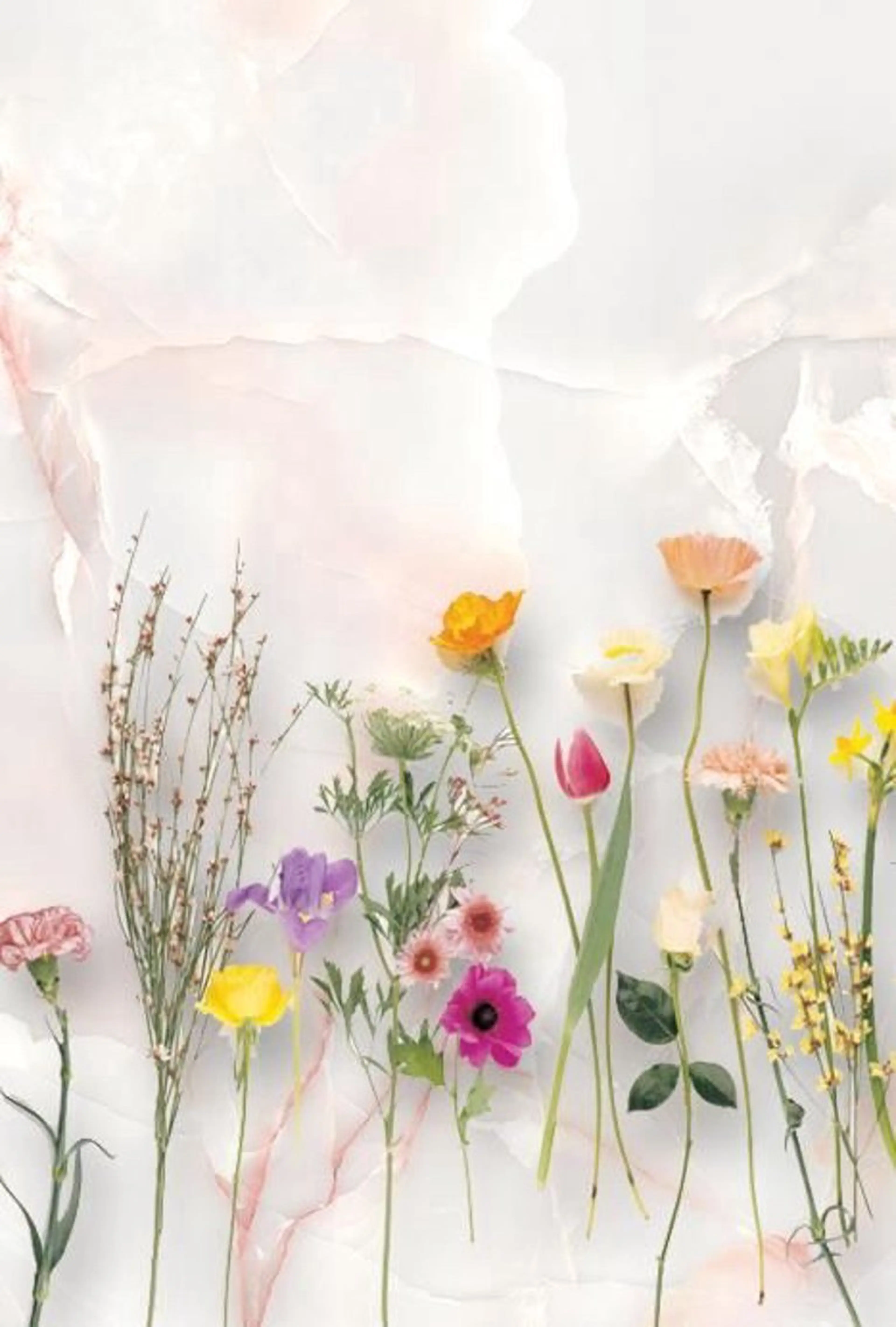 マツエク・マツパ 横浜eyelist Aidaのマツエク・マツパデザイン