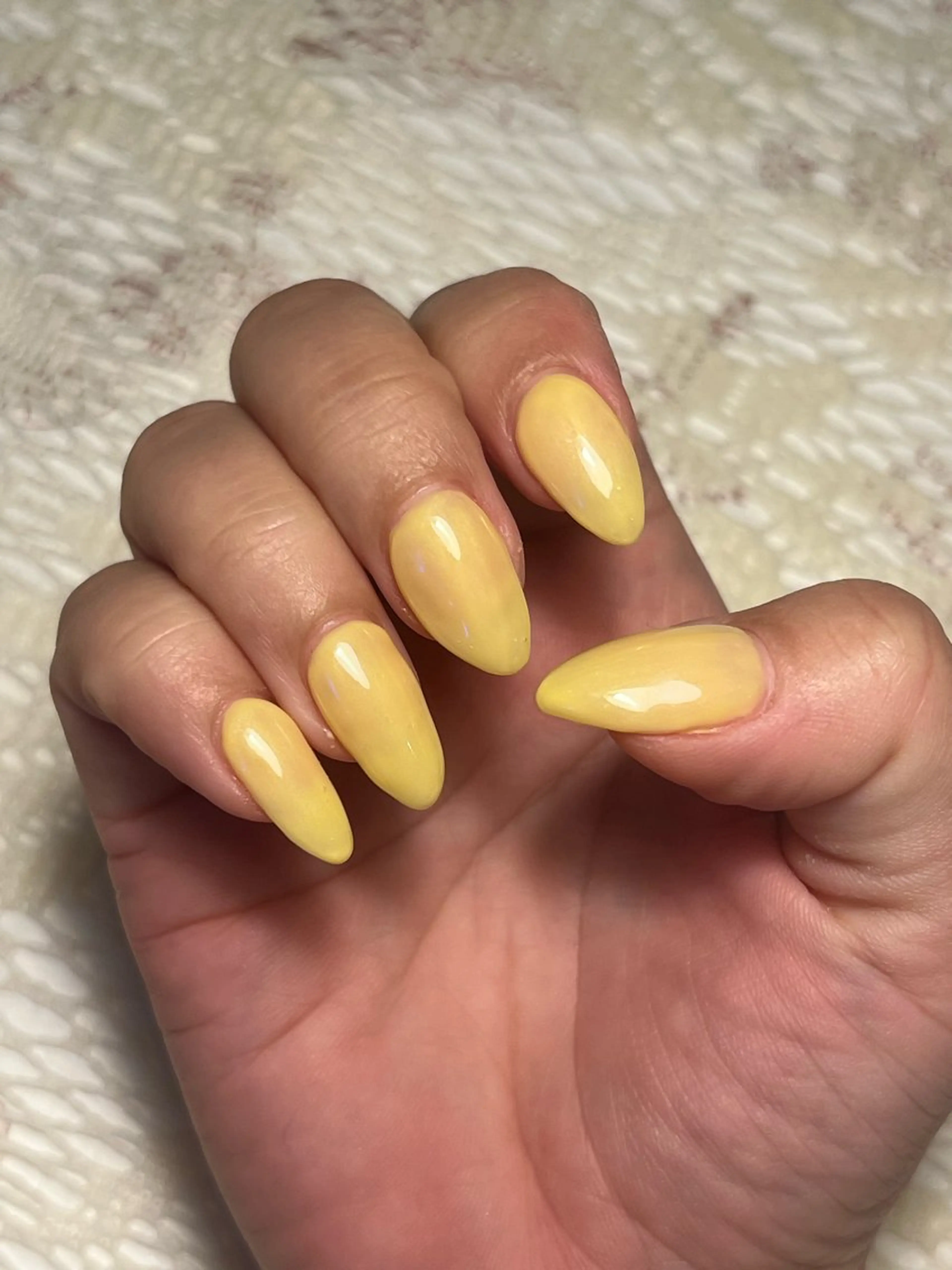 【オフ込み】ワンカラー¥1.000の写真