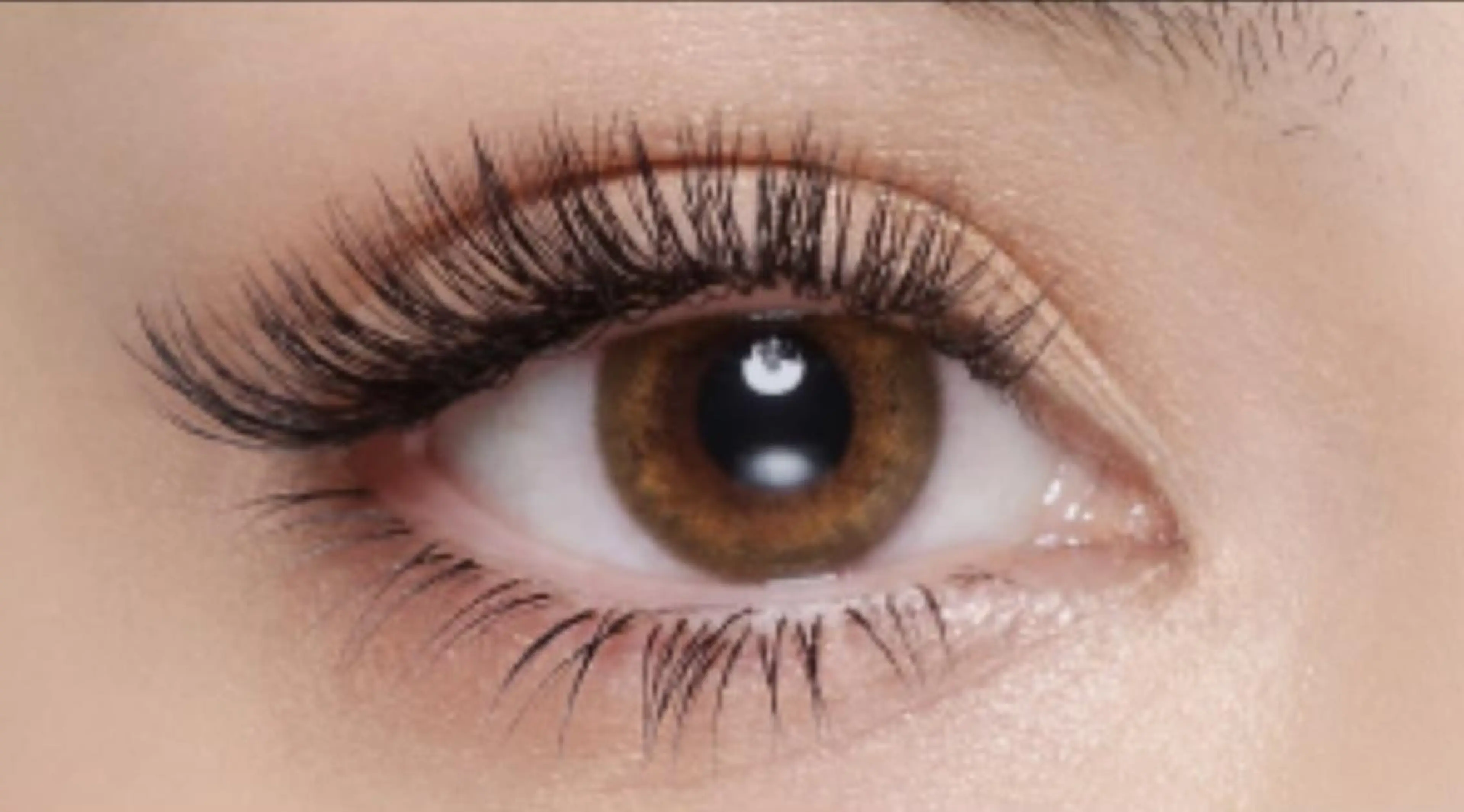 バインドロック100束　ミニモ価格6980円の写真