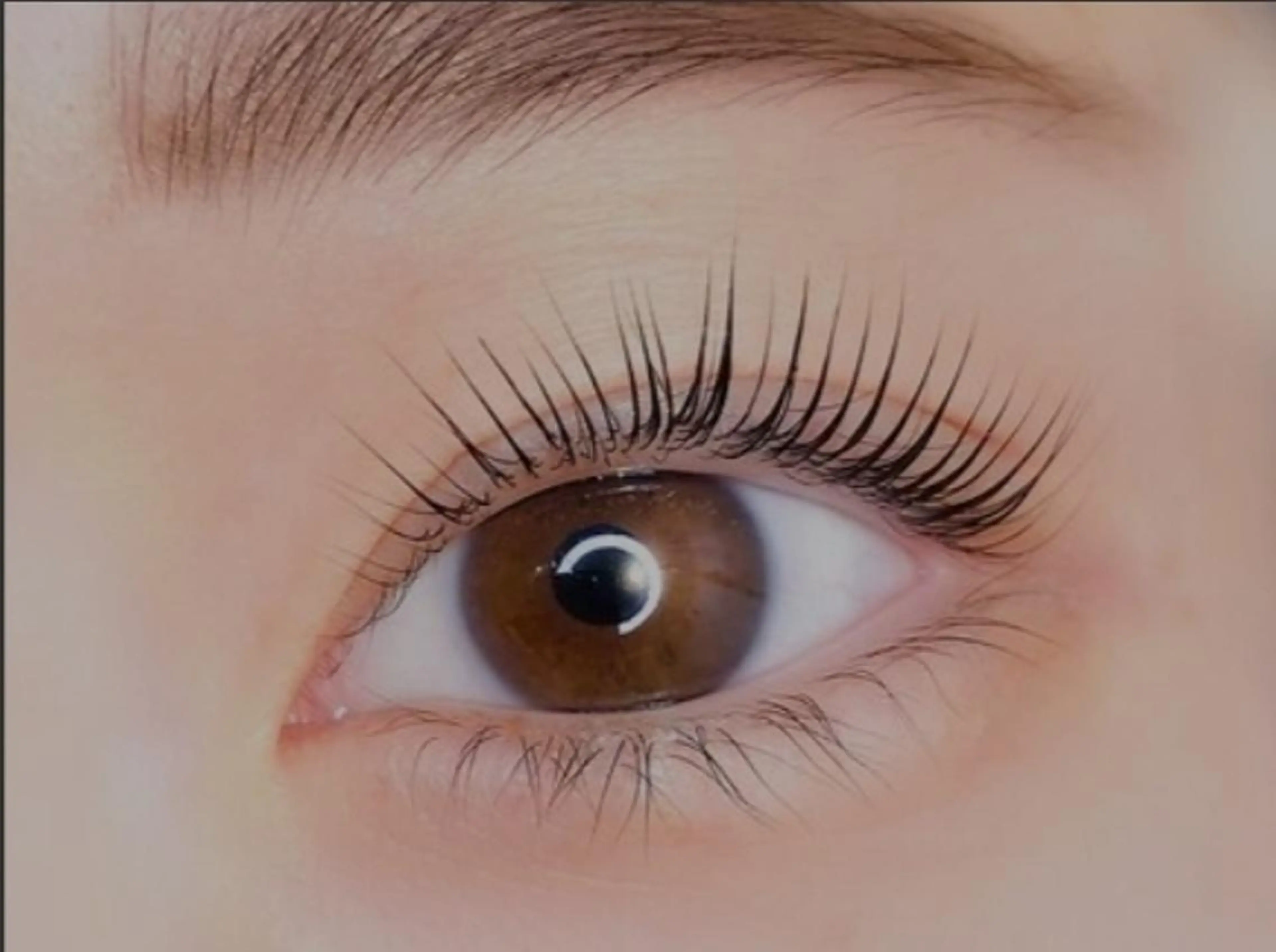 マツエク・マツパ アイブロウ LULU 蟹江店のマツエク・マツパデザイン