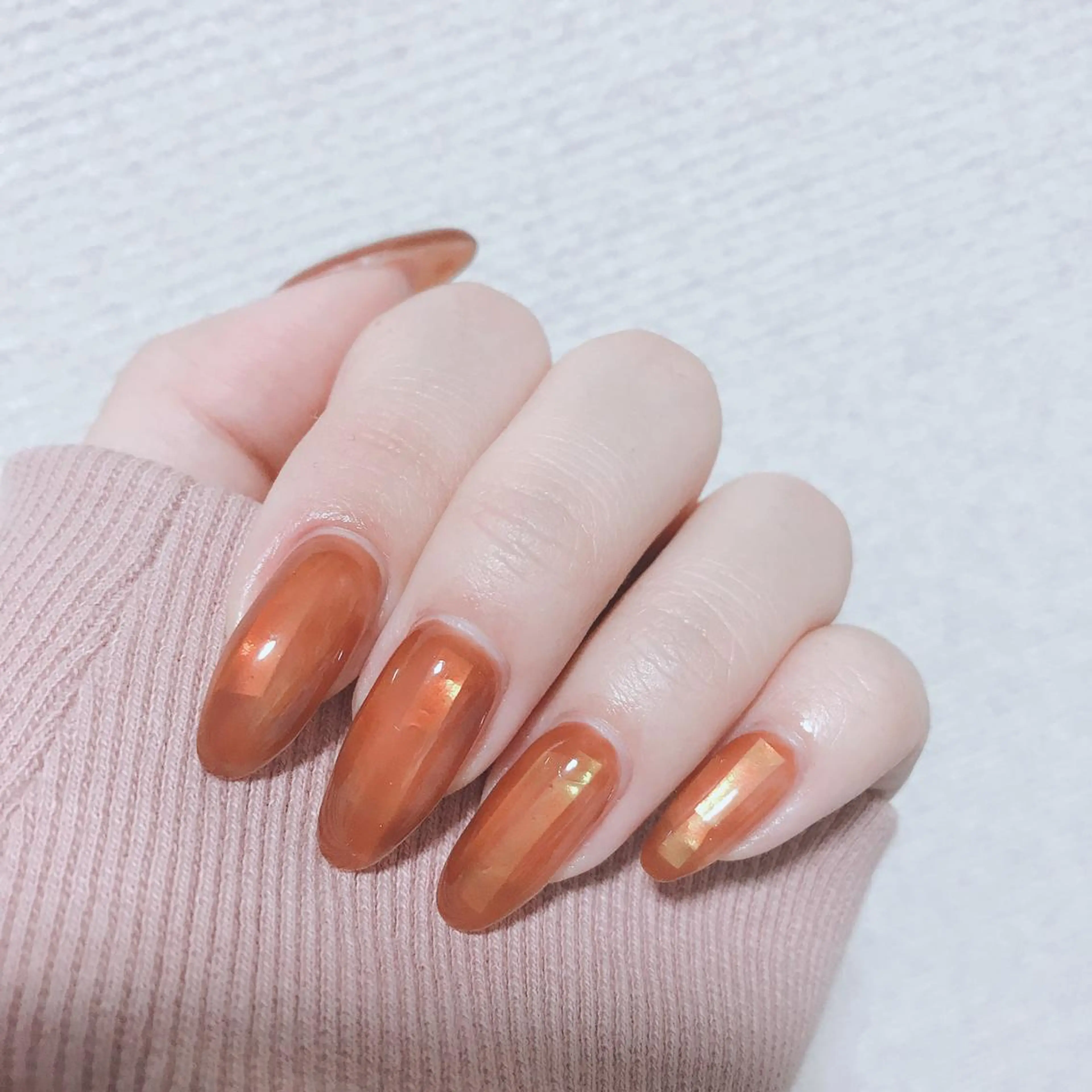 ネイル オーロラネイル ブラウン Nailsalon Julius luna所属・Juliusluna FUZUKIのネイルデザイン