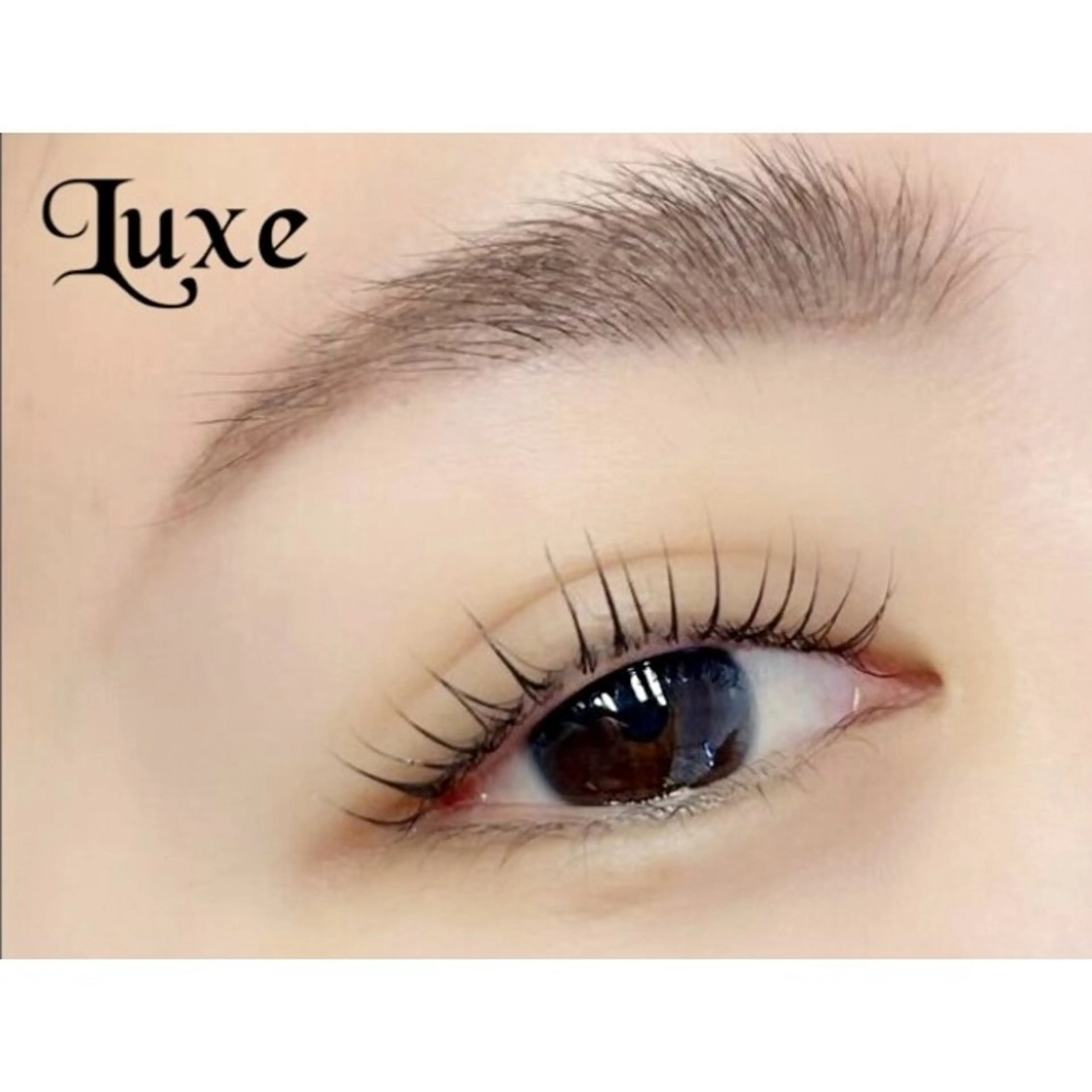 【リピーター様】🌸眉WAX脱毛1回+美眉スタイリング+TRまつげパーマ→¥10200の写真