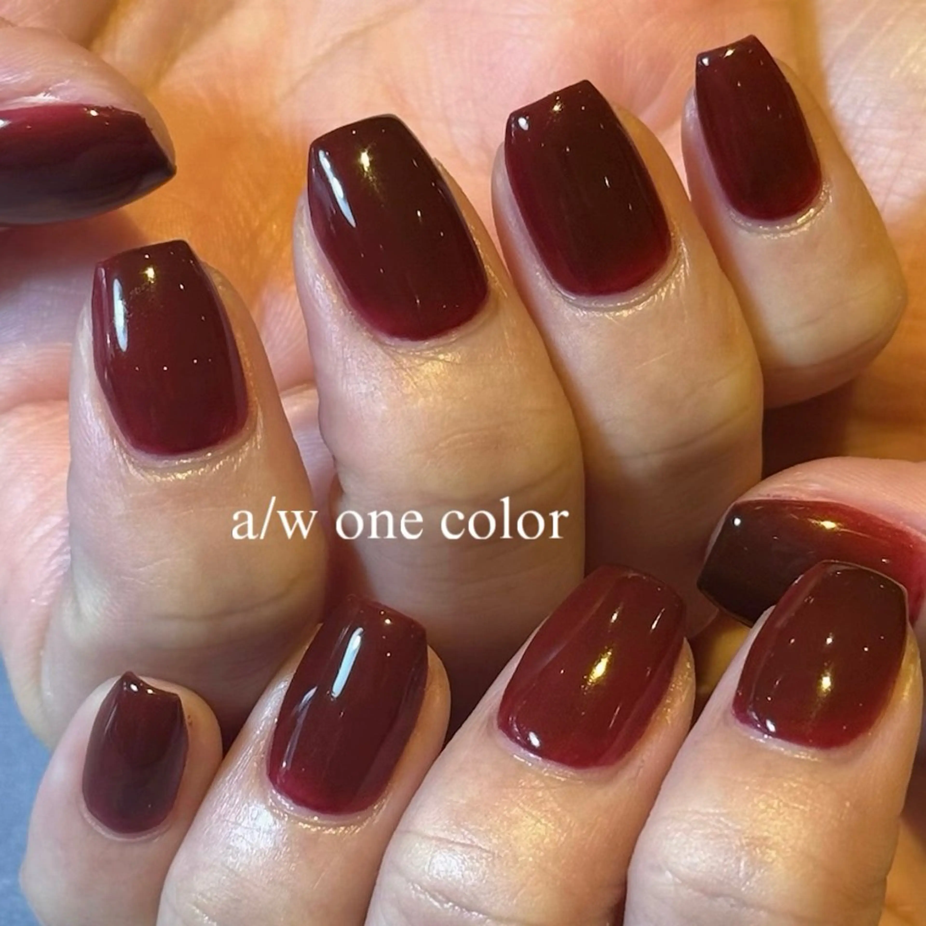 ネイル ジェルネイル ワンカラーネイル パラジェル パラジェルプレミアムサロン　SINCE所属・HONAMI パラジェル専門店のネイルデザイン