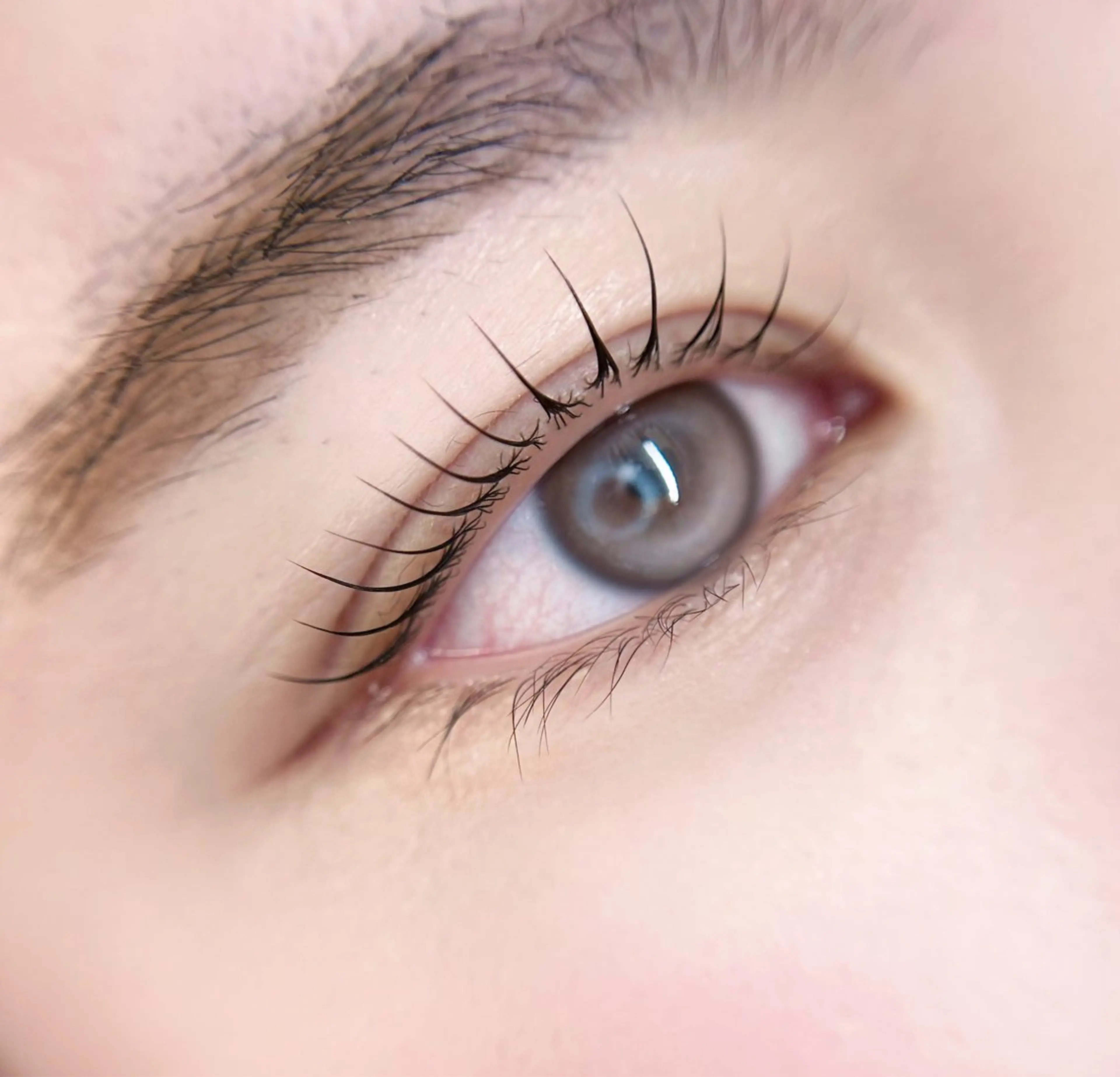 マツエク・マツパ 🎀eyelist. mizuki🐈‍⬛のマツエク・マツパデザイン