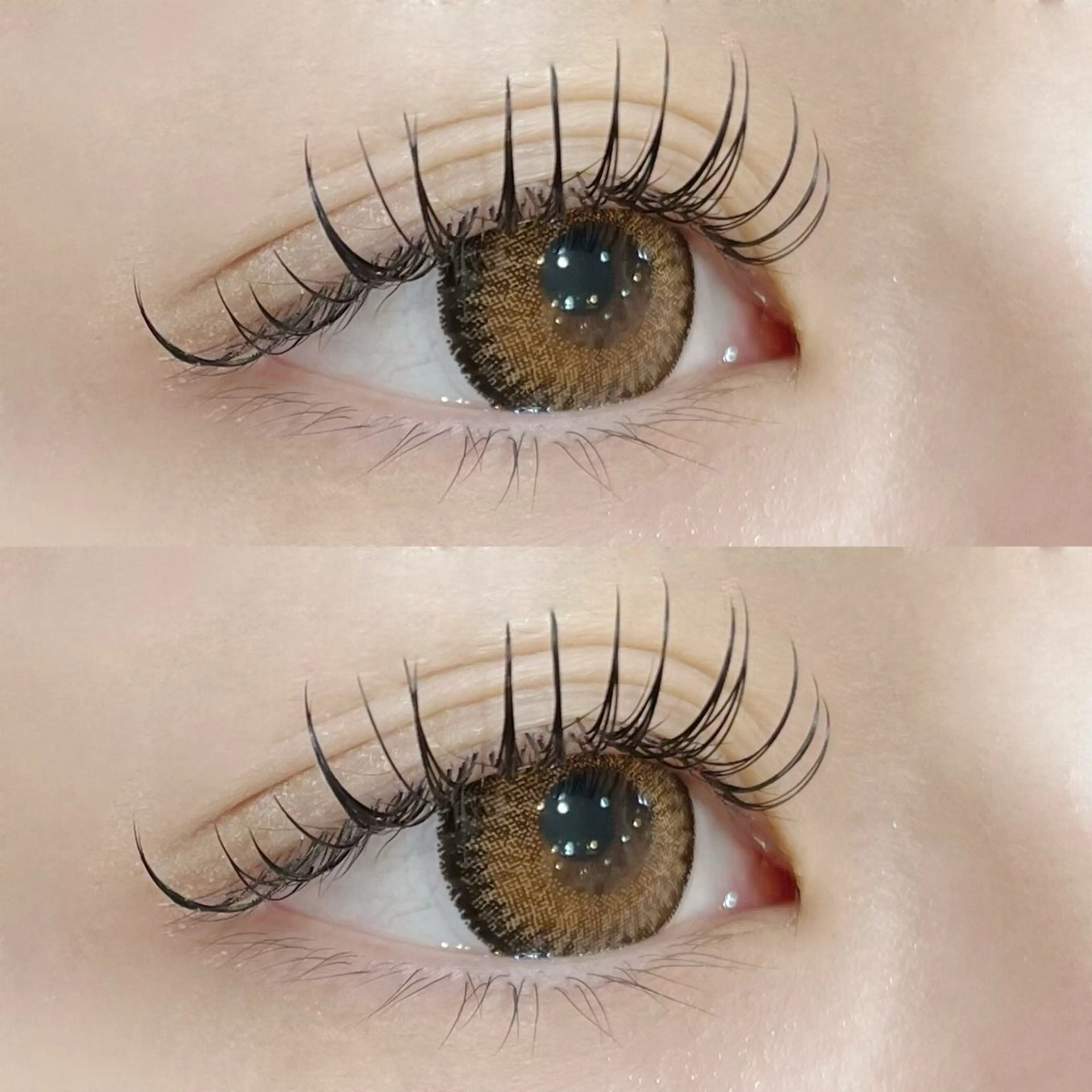 フラットラッシュ140本の写真