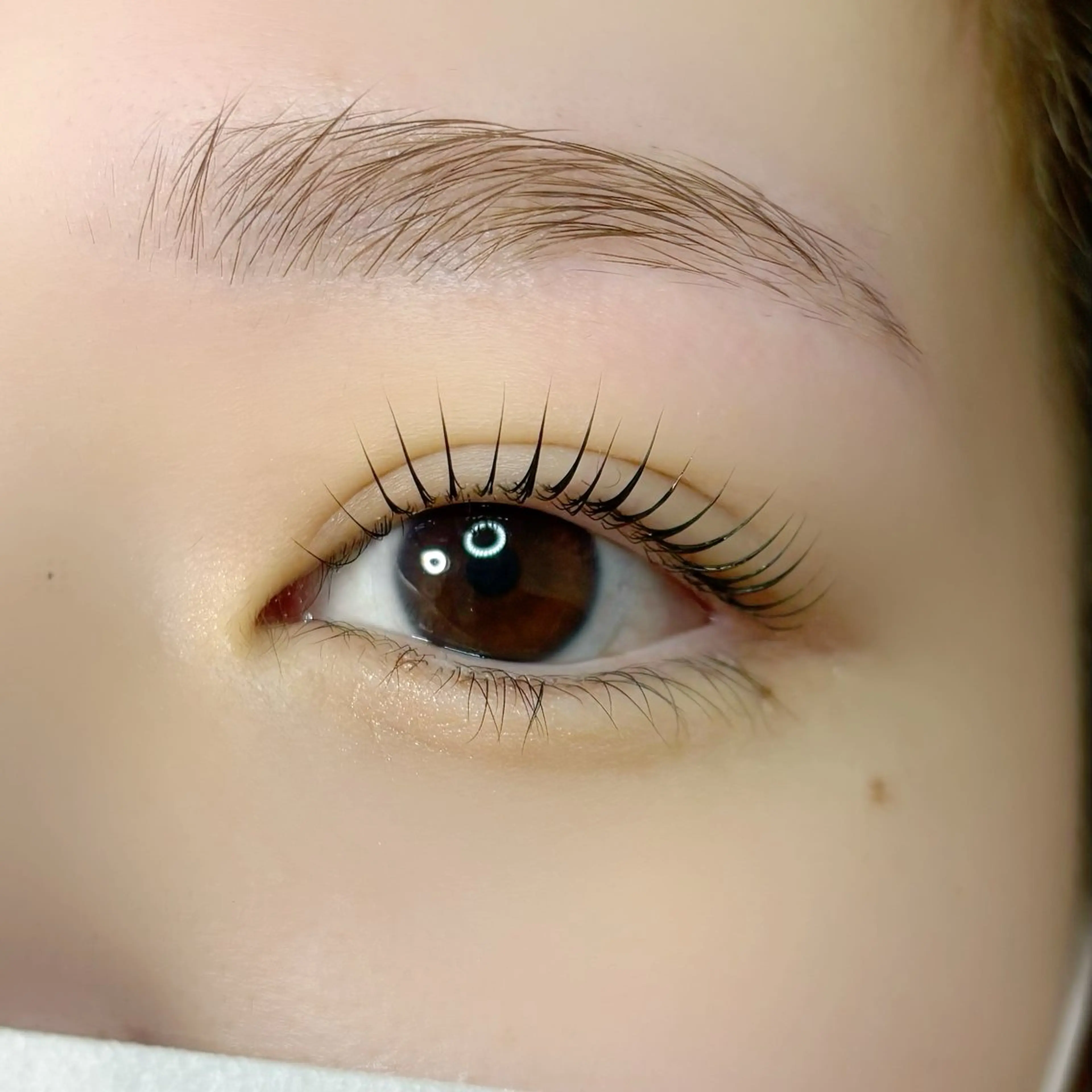 【当日予約限定】ミニモだけ！うるツヤまつ毛パーマ💎️🩵アイシャンプー･トリートメント付き🫧の写真