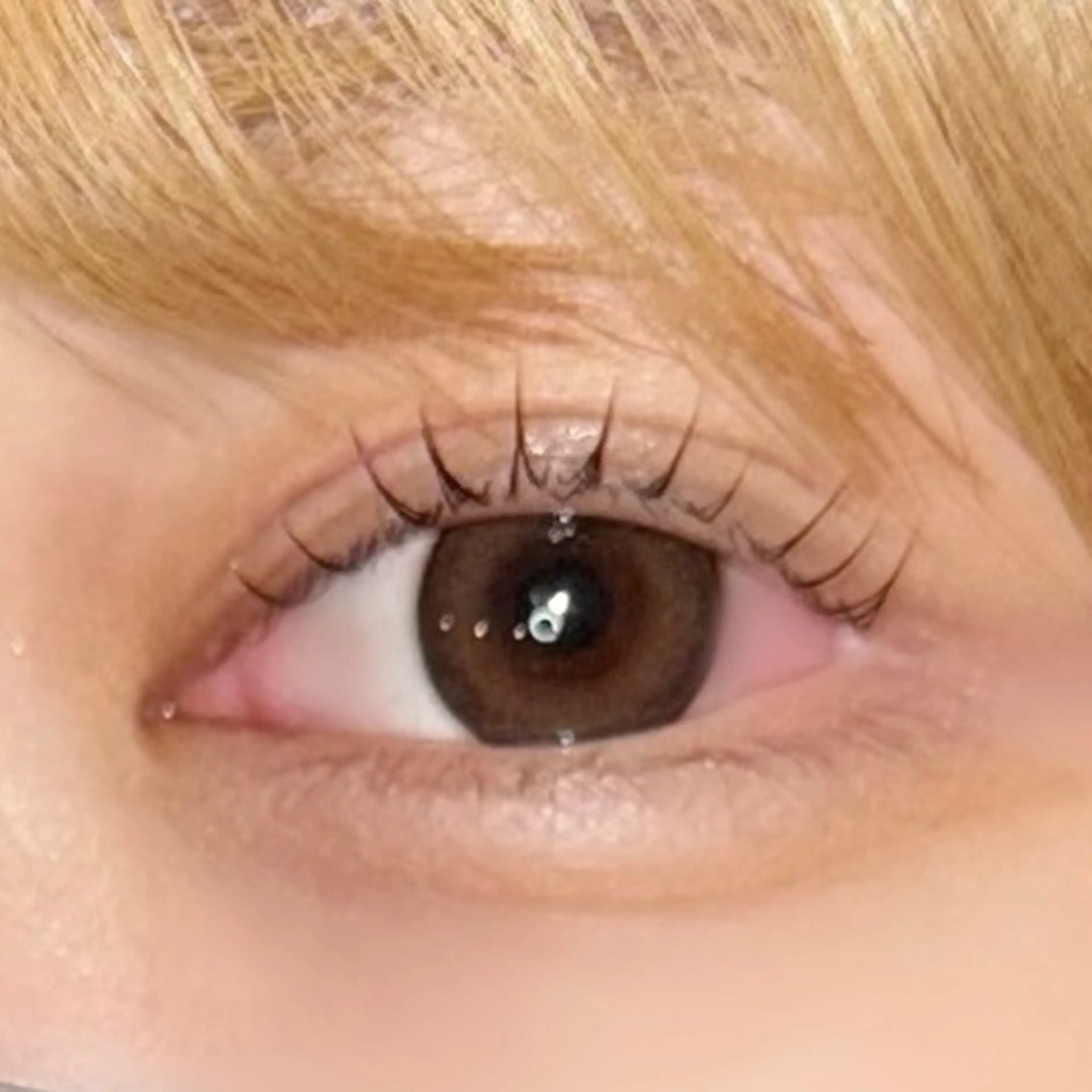 マツエク・マツパ praise 優月のマツエク・マツパデザイン