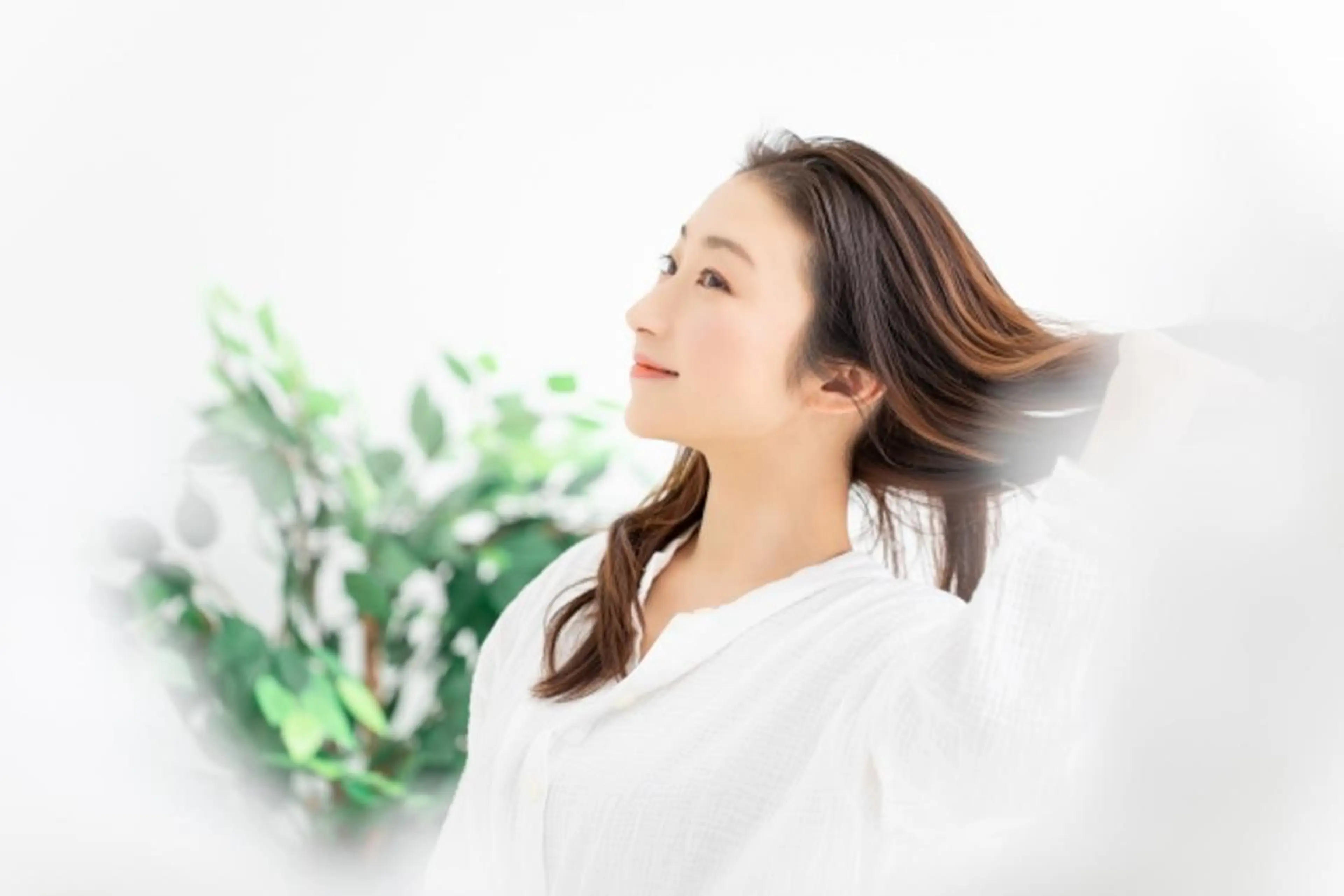 カラー ロング Pine Color パインカラーのマツエク・マツパデザイン