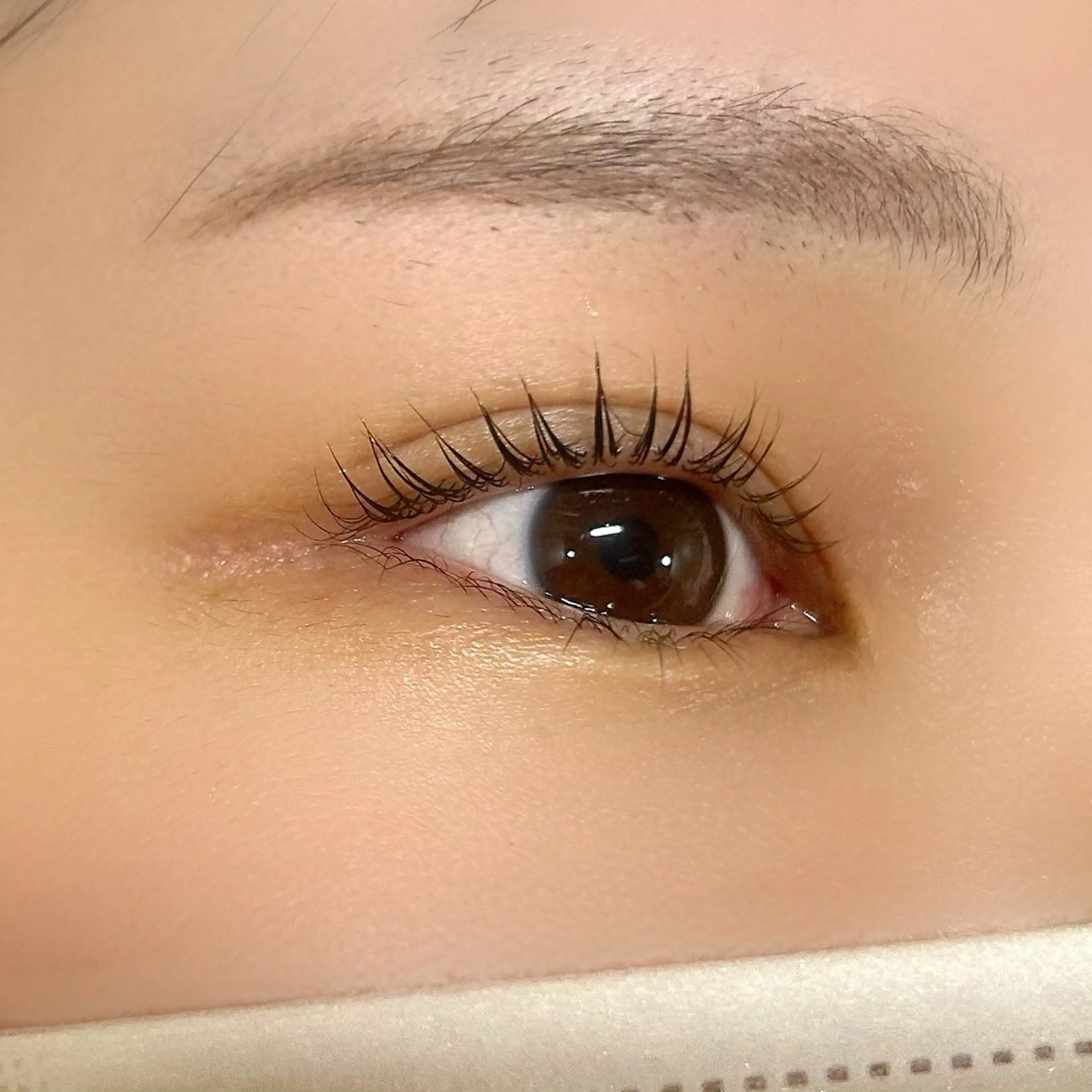 マツエク・マツパ 🌸アイリスト fujiwara🌸のマツエク・マツパデザイン