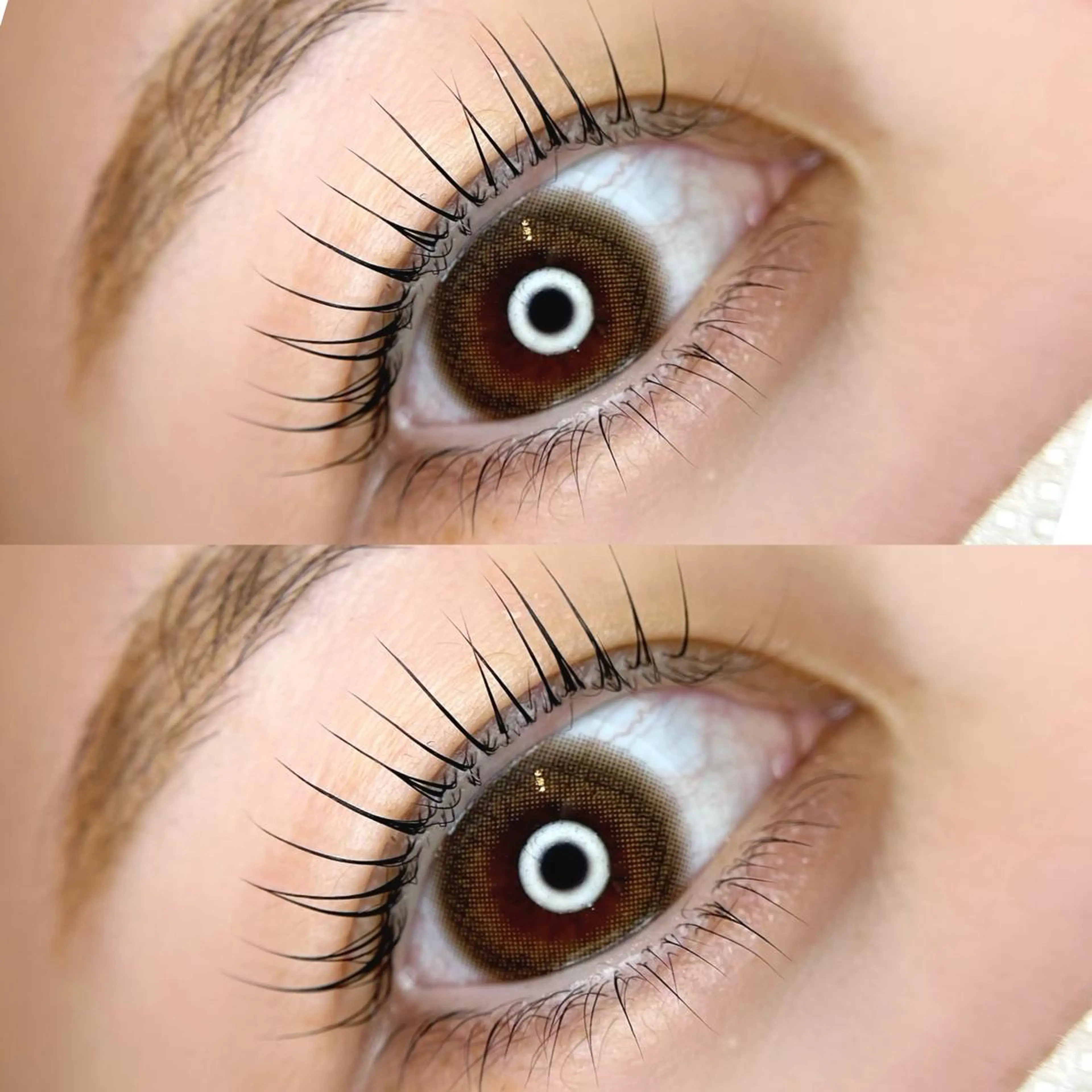 次世代まつ毛パーマ❣️セラムラッシュリフト上下👀💕パリジェンヌのような仕上がりに💝の写真