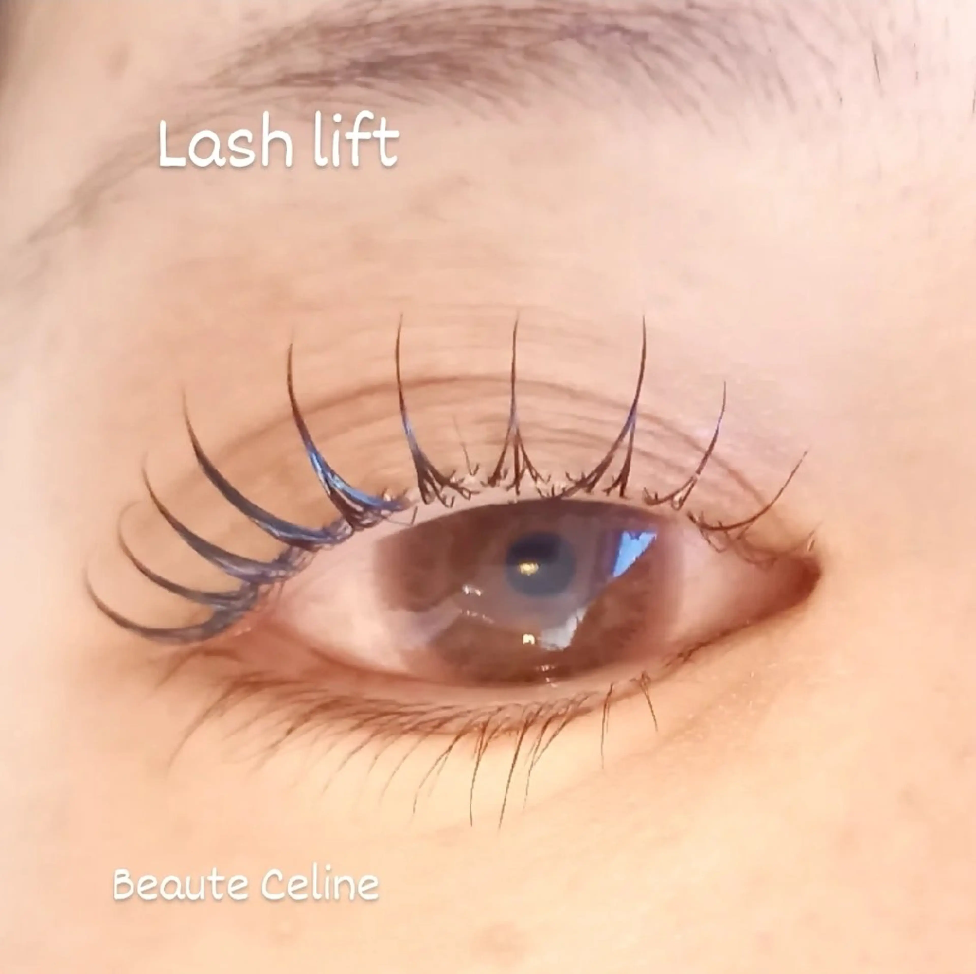 マツエク・マツパ 束感まつ毛 マツパ beaute.celine所属・8時～✨beaute Celine🌛🌹のマツエク・マツパデザイン