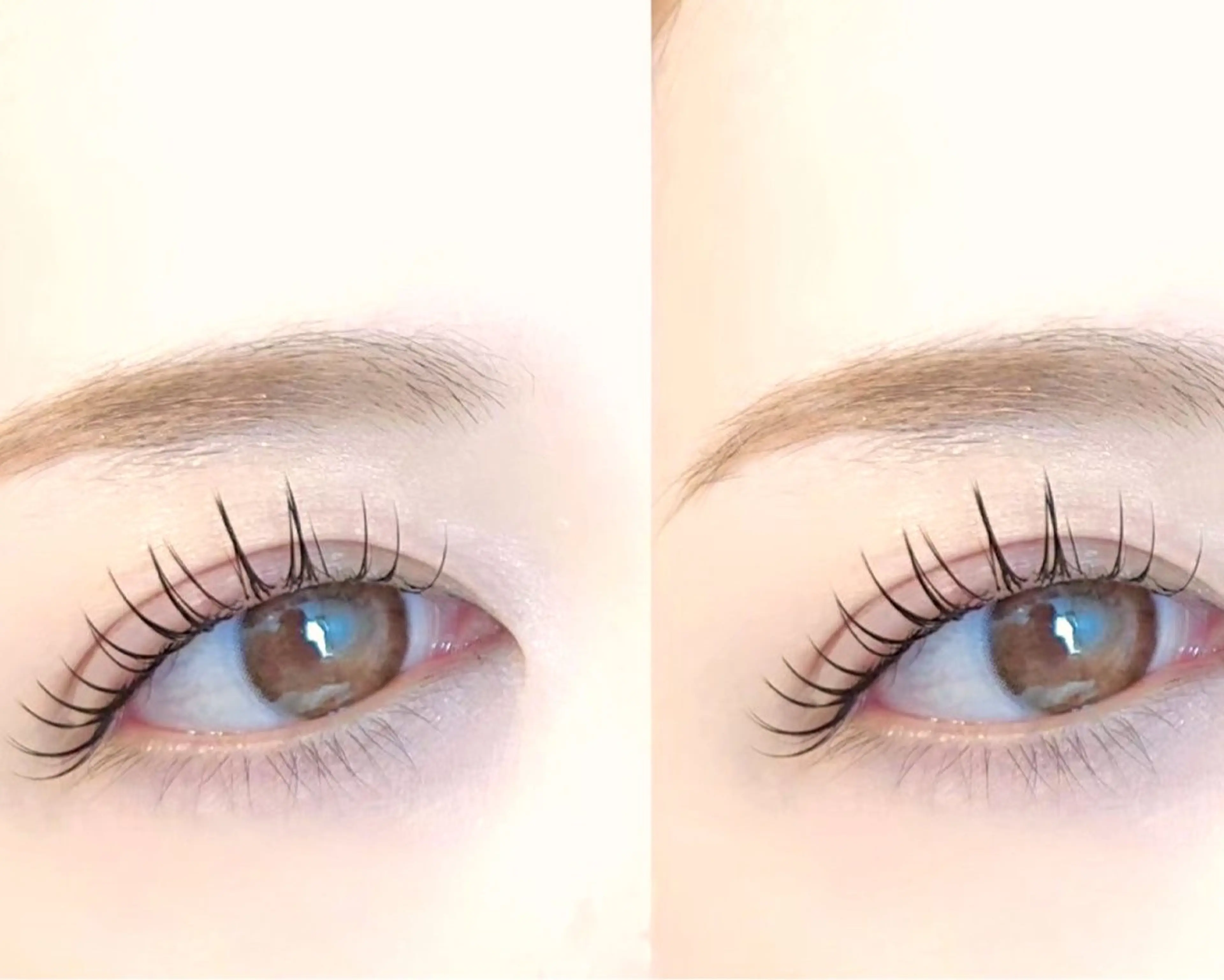 【4月限定】オフ有🎀マツエク 100本まで✨️トリートメント・コーティング仕上げ🎀【飯田橋/神楽坂】の写真