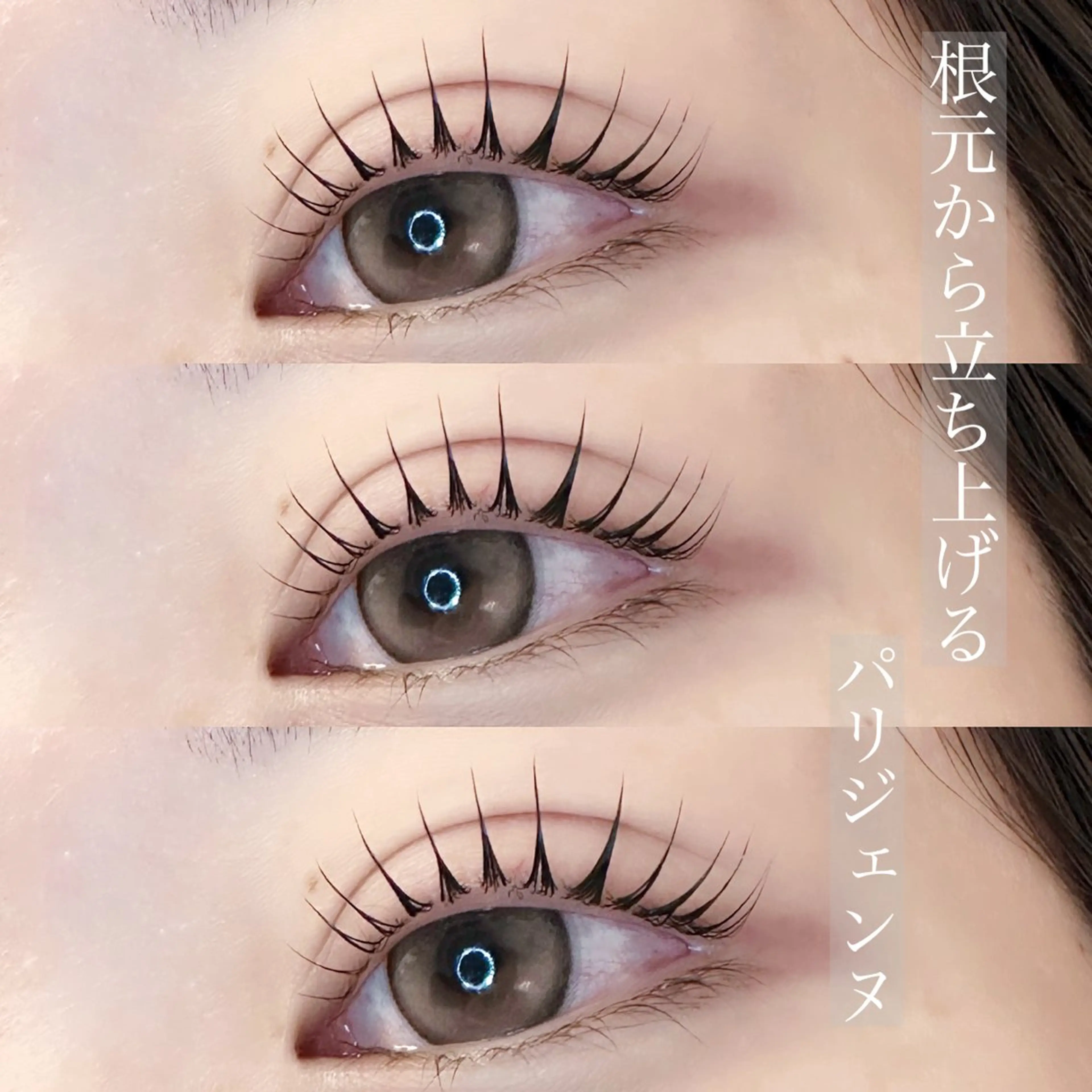 マツエク・マツパ Laurel eye ローレルのマツエク・マツパデザイン