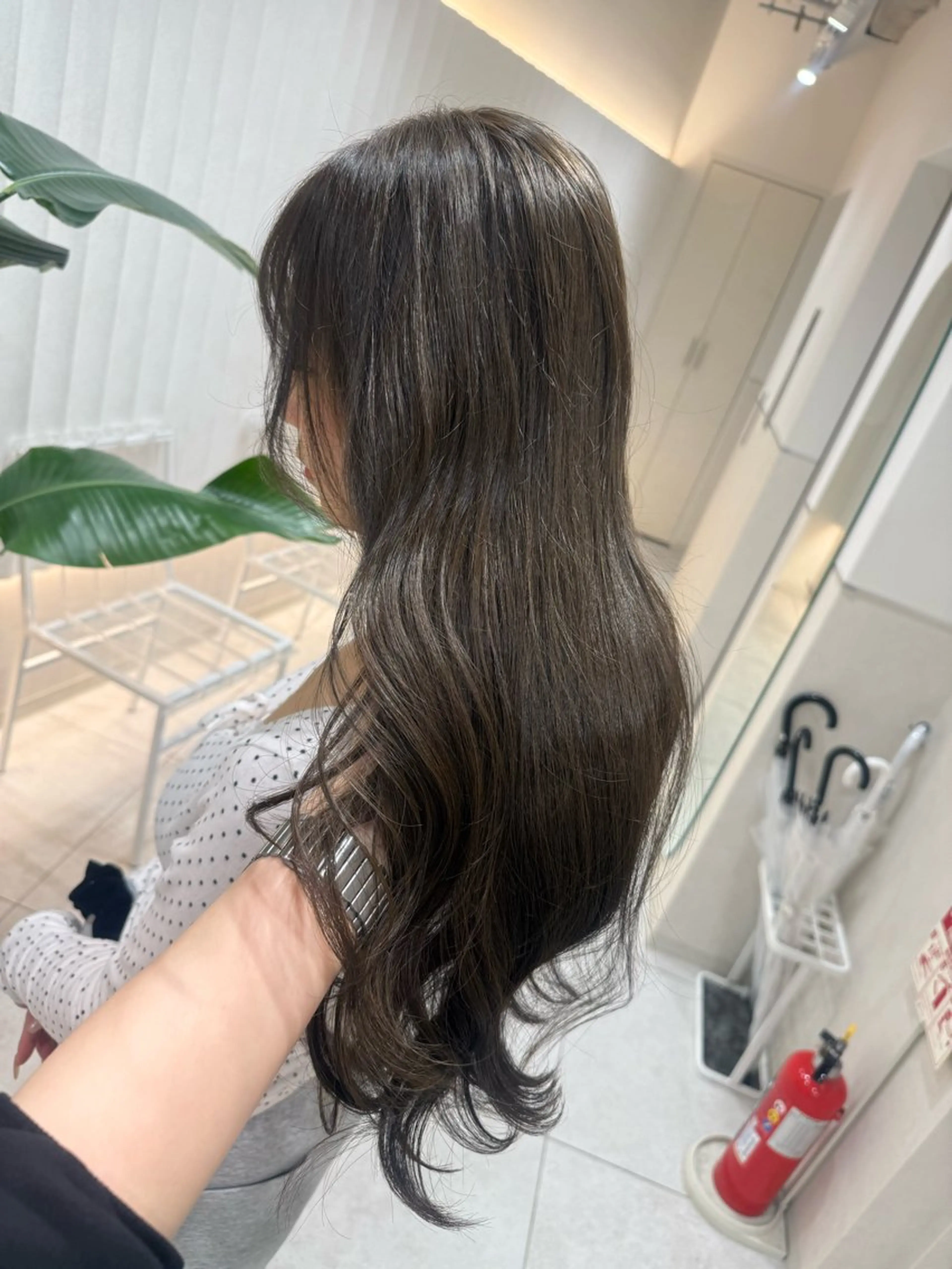 ロング カラー ベージュカラー ヘアカラー トリートメント ブリーチなし🌼トレ ンド🌼似合わせのヘアスタイル