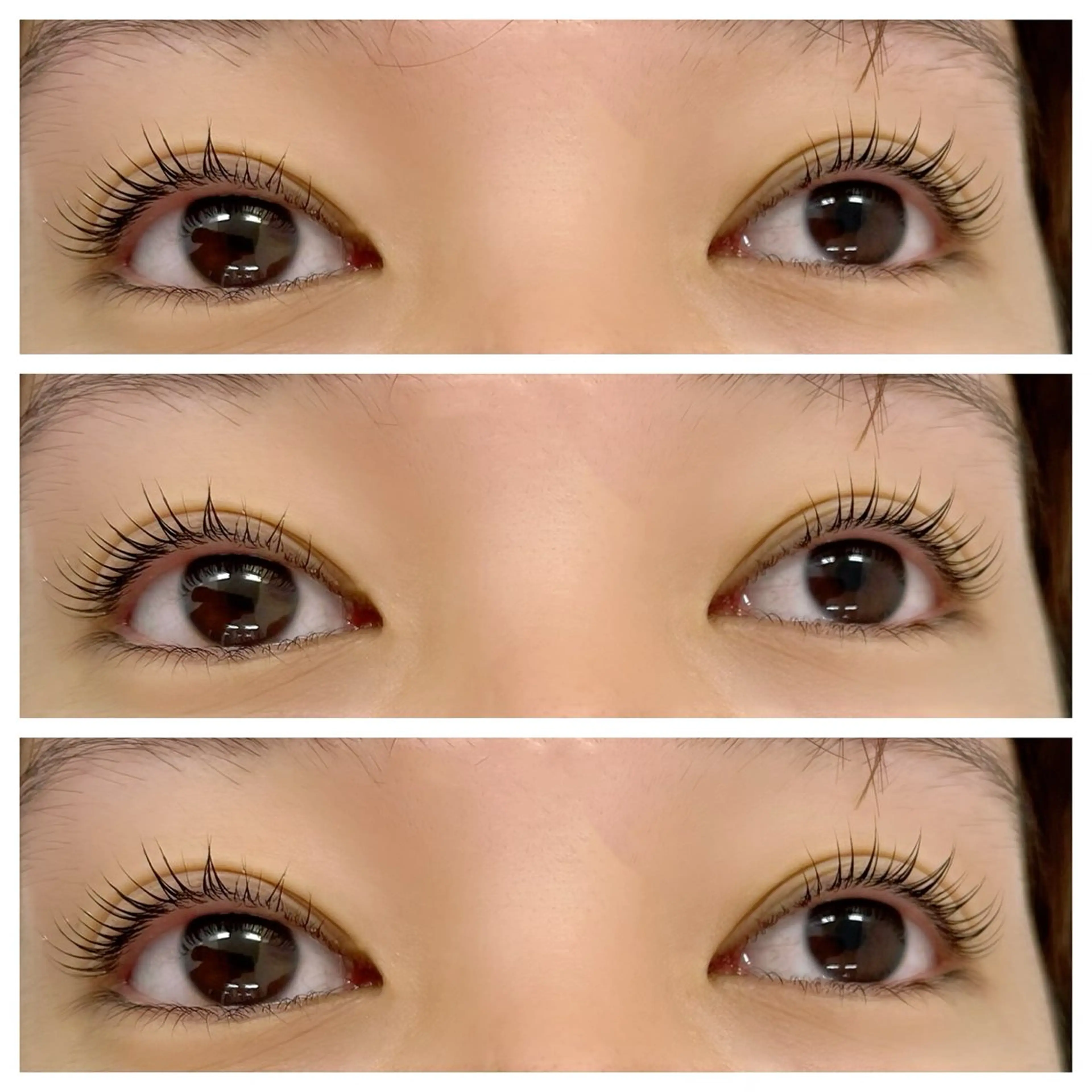 マツエク・マツパ Dカール kaori　Rire 🌻まつげサロンのマツエク・マツパデザイン