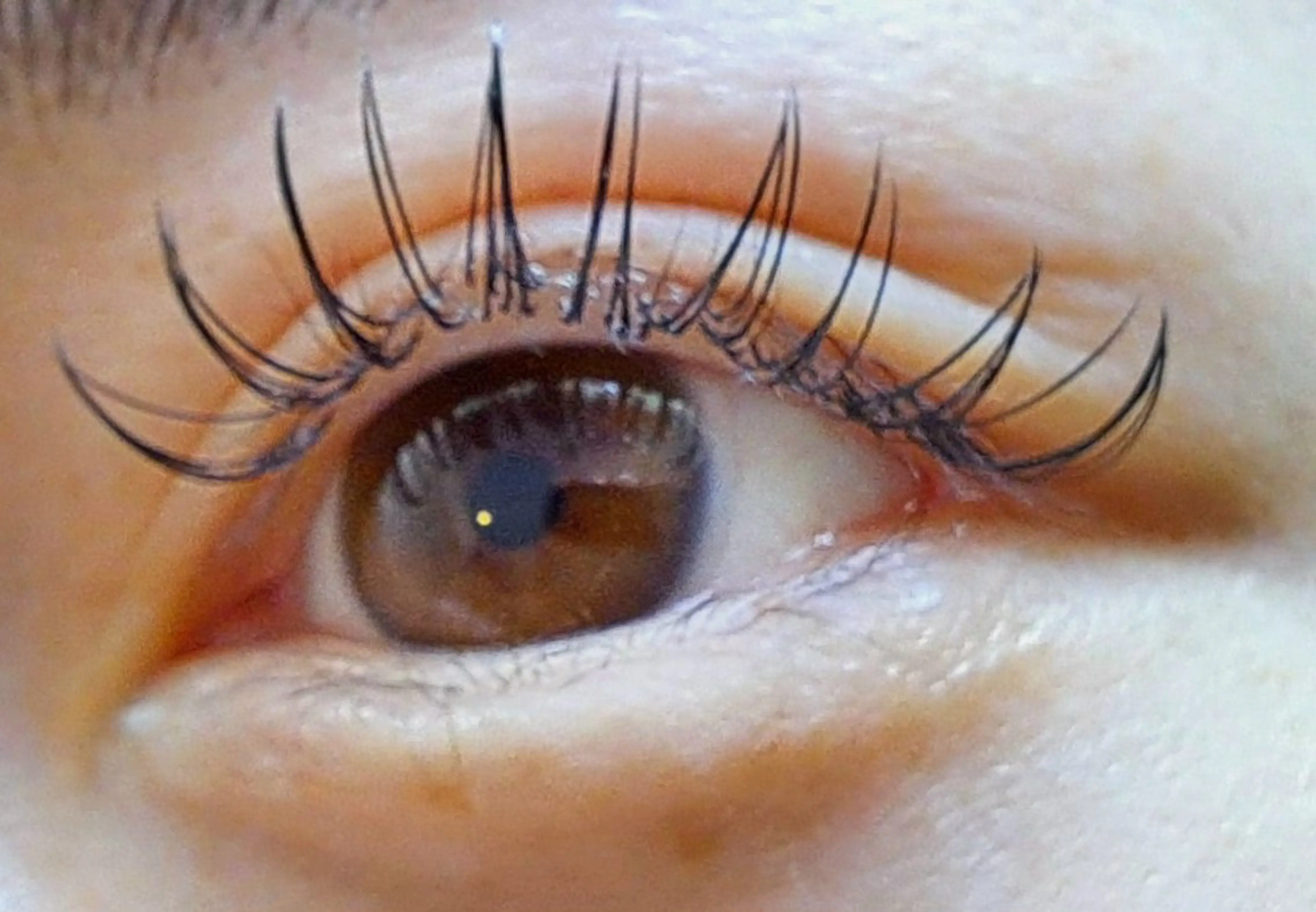 オフ無しフラット100本の写真