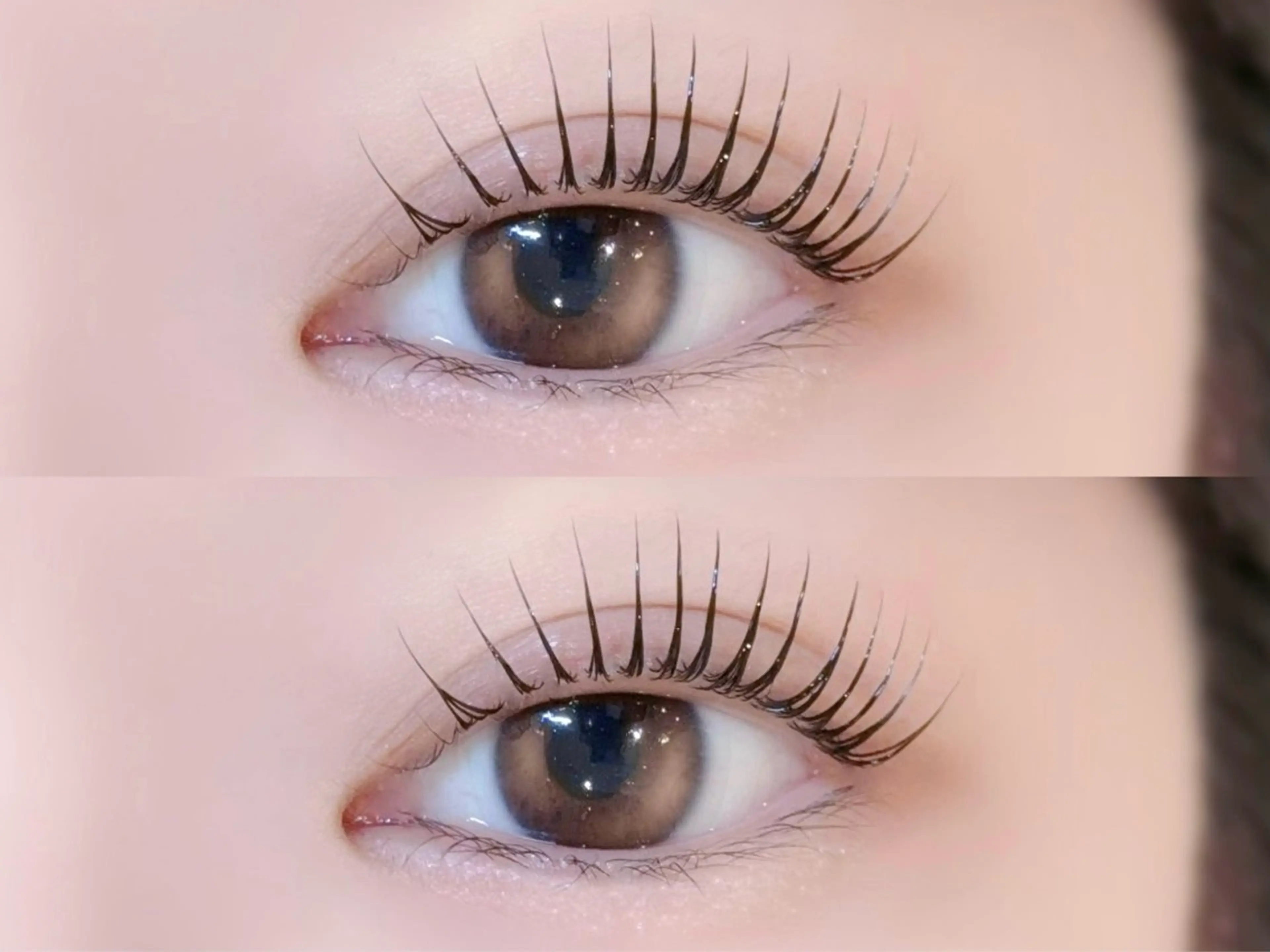 マツエク・マツパ マツパ 🎀束感/LEDエク Hibiki🎀のマツエク・マツパデザイン