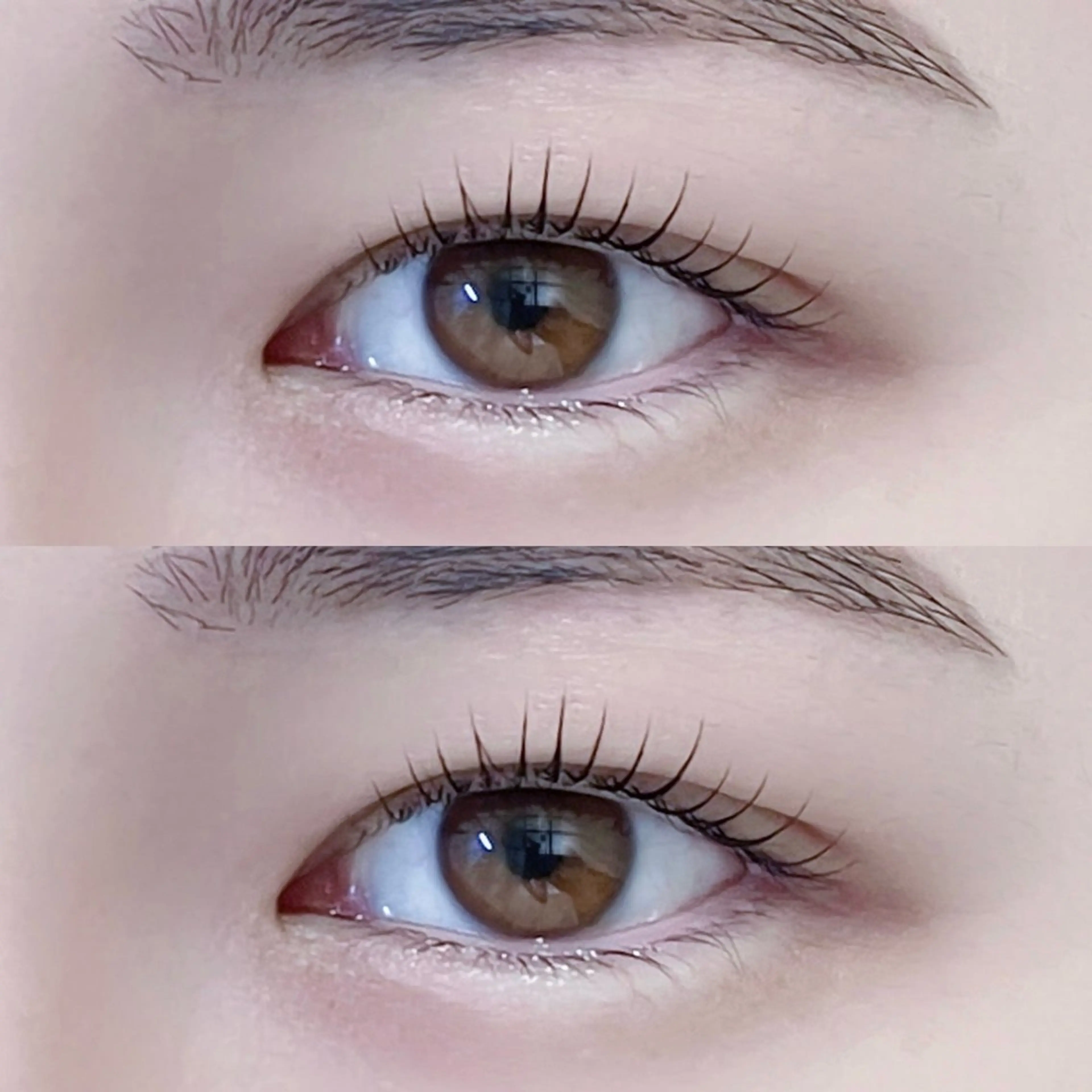 💎《美眉スタイリング[アイブロウ]＋まつげパーマ🪽》コーティング付で垢抜けEYE👀🤍✨【再来¥8,960】の写真