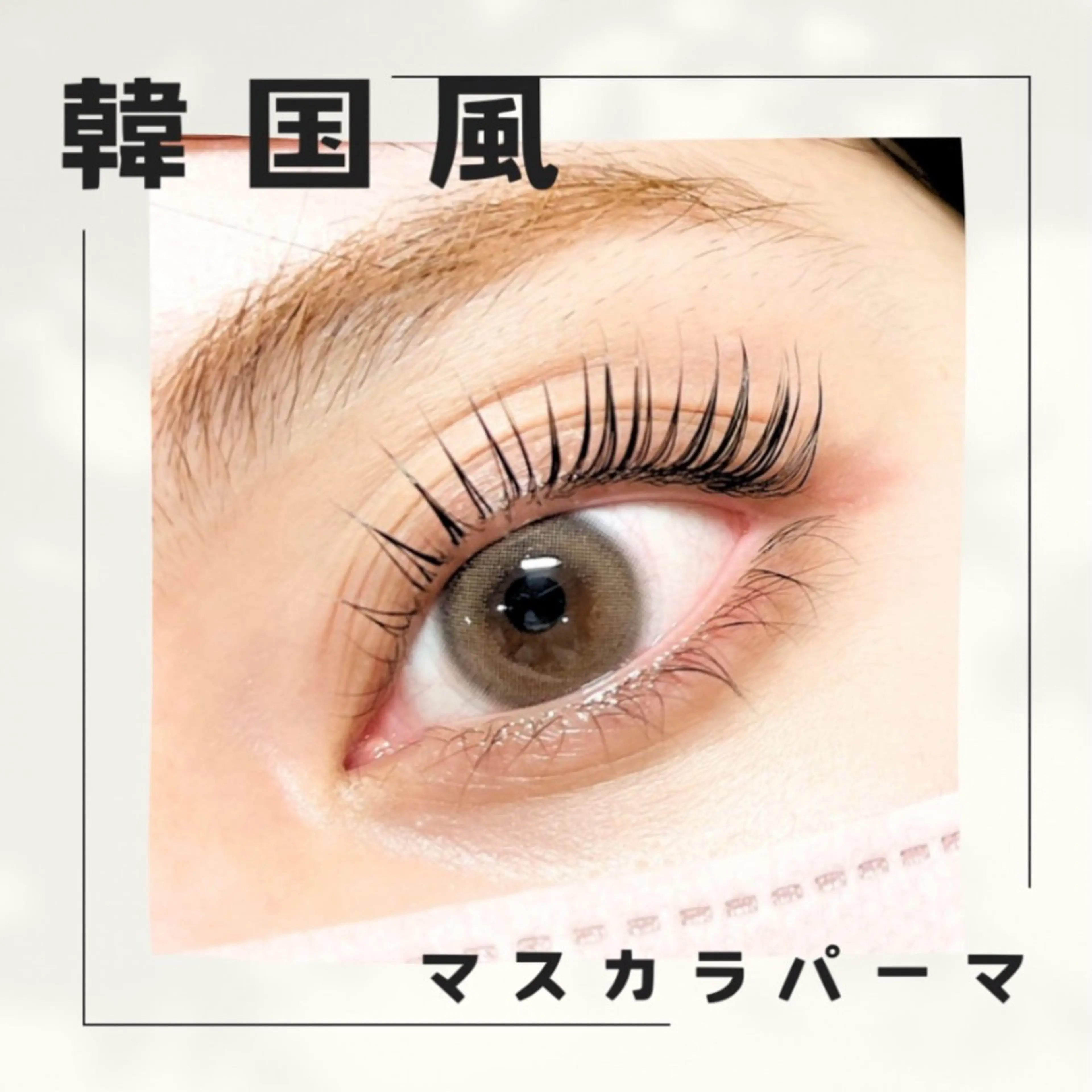 ˗ˋ最新トレンドˊ˗〻🖤マスカラパーマ🐈‍⬛〻ブラックティント🪇の写真