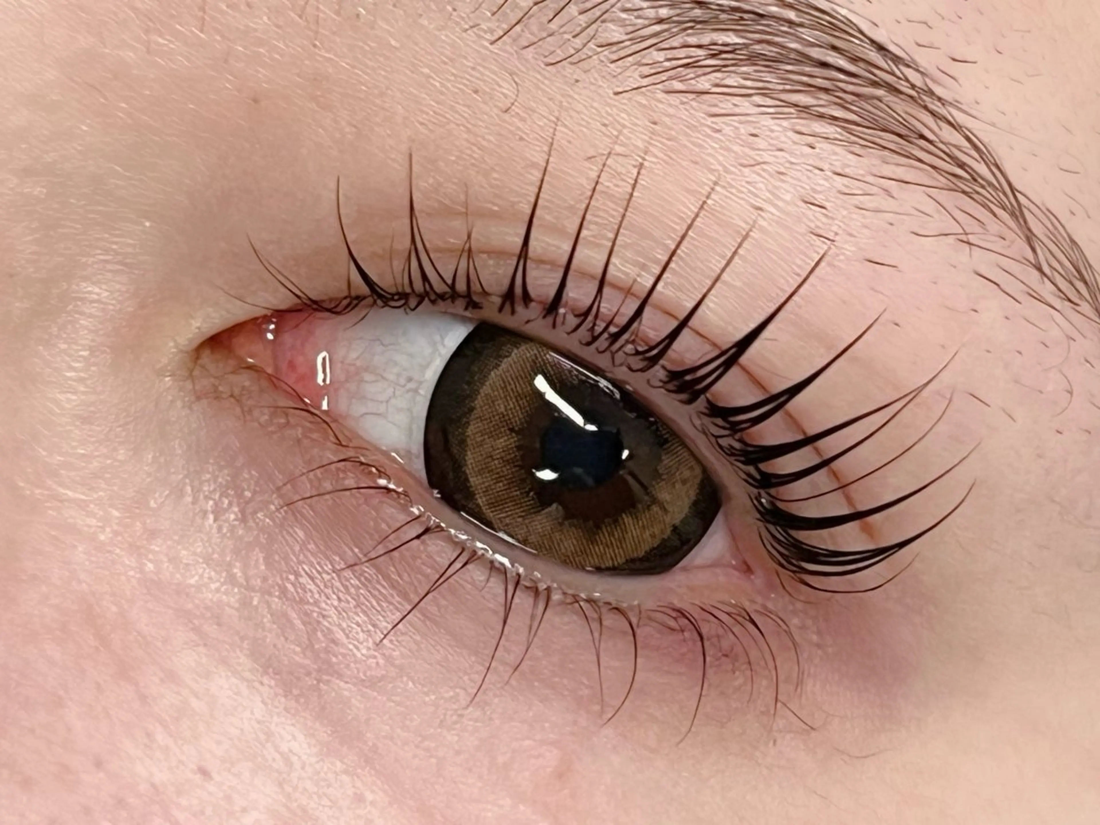 マツエク・マツパ カラーマツエク 韓国風マツエク まつげパーマ 下まつげエクステ 一重×まつ毛パーマ チュアリポノ 舩津のマツエク・マツパデザイン