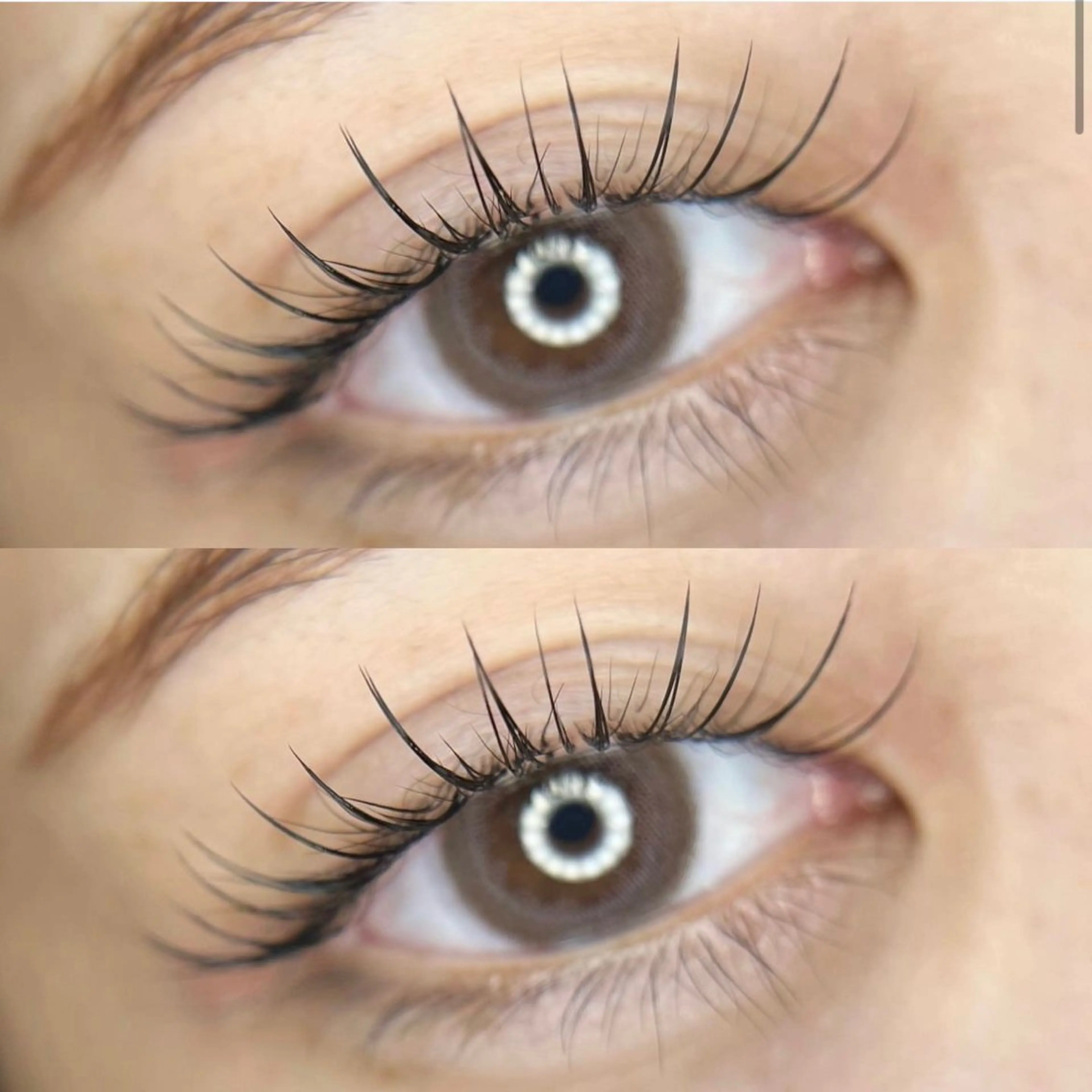 リフエク🤍ラッシュリフト×LEDエクステ100or120本　※オフ有の写真