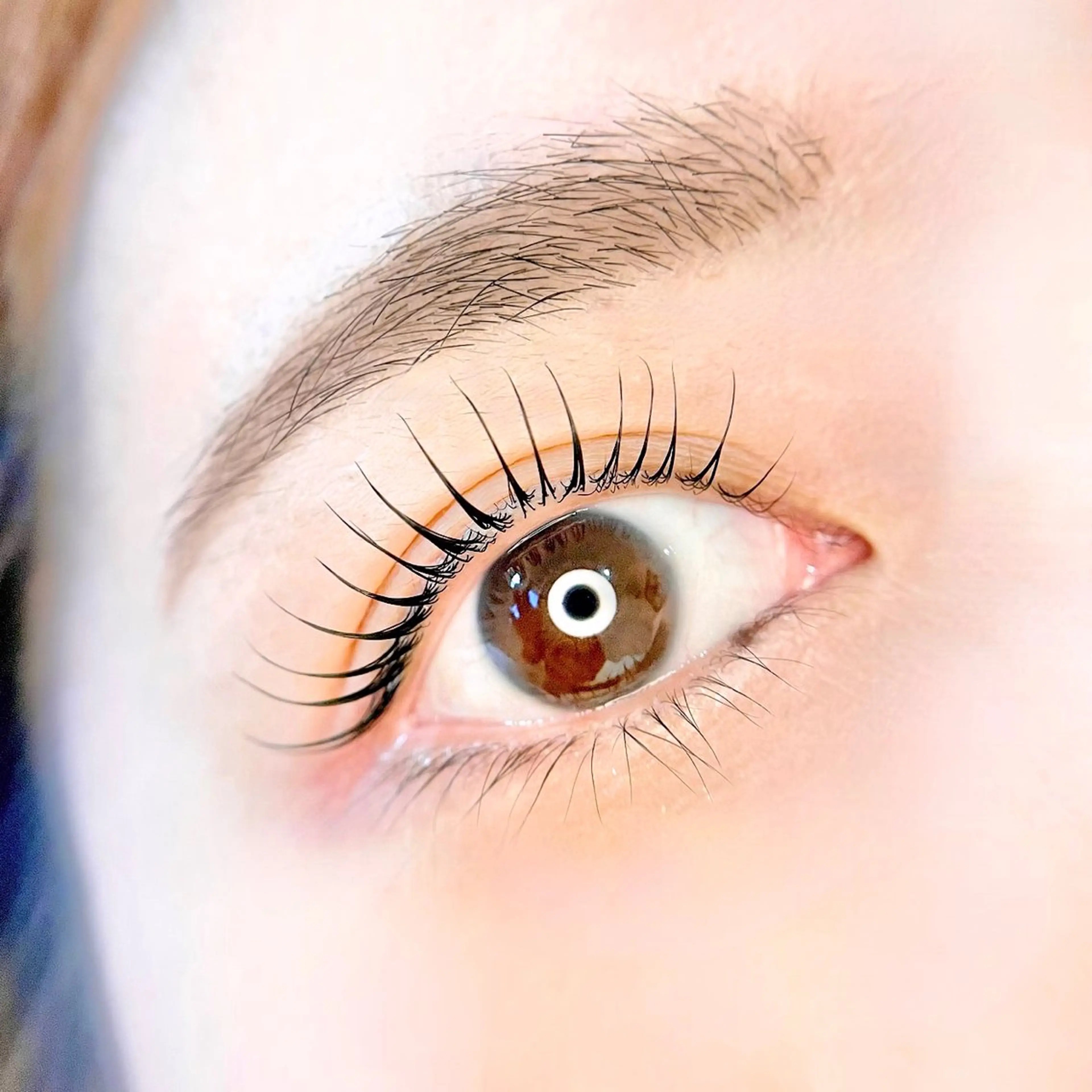 ‪＼特別価格🍃／‬オフ込み♪ラッシュリフト(ケラチンtr･アフターtr･アイシャンプー･コーティング付)の写真