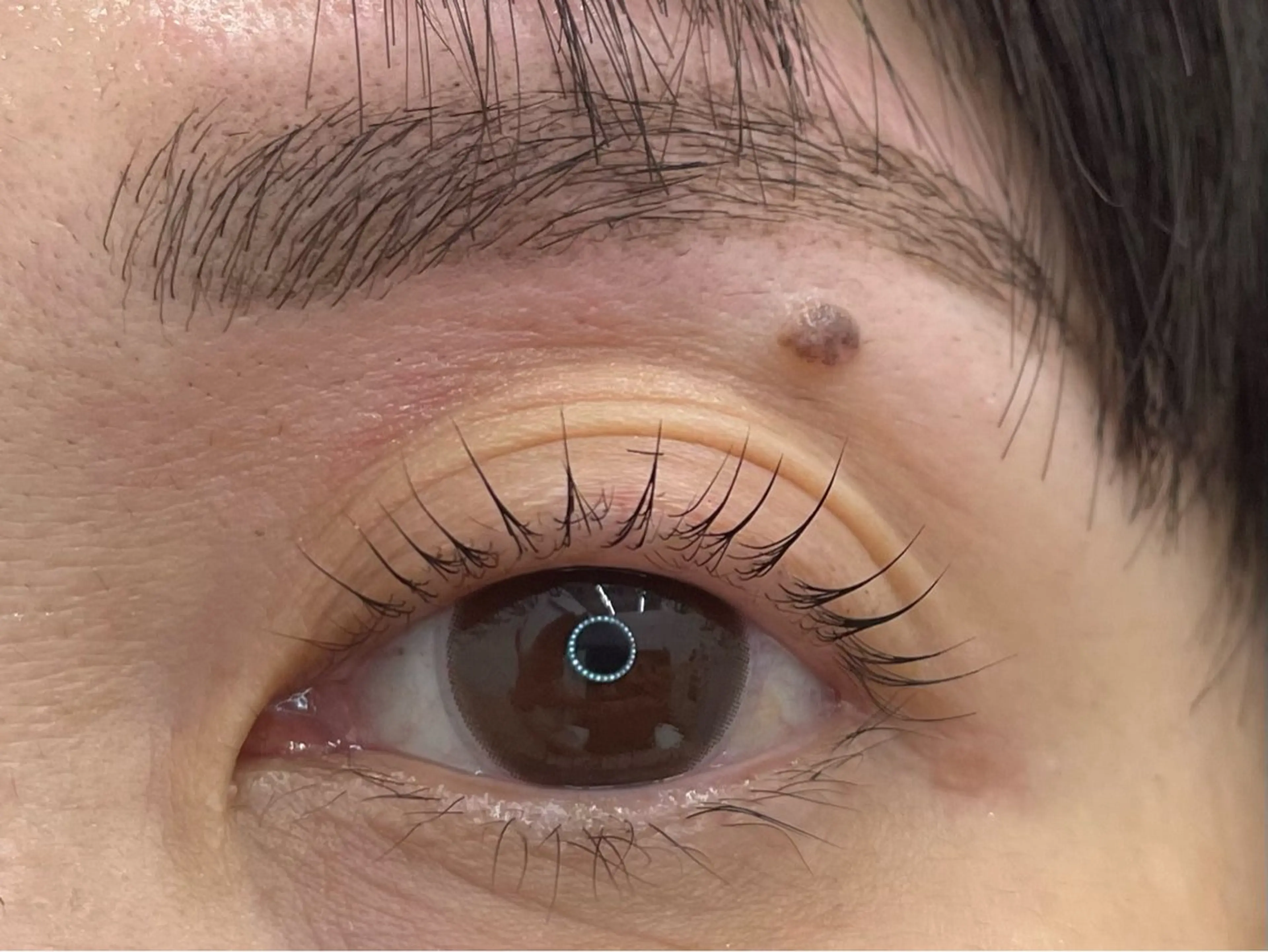 マツエク・マツパ Lukia MOMOのマツエク・マツパデザイン