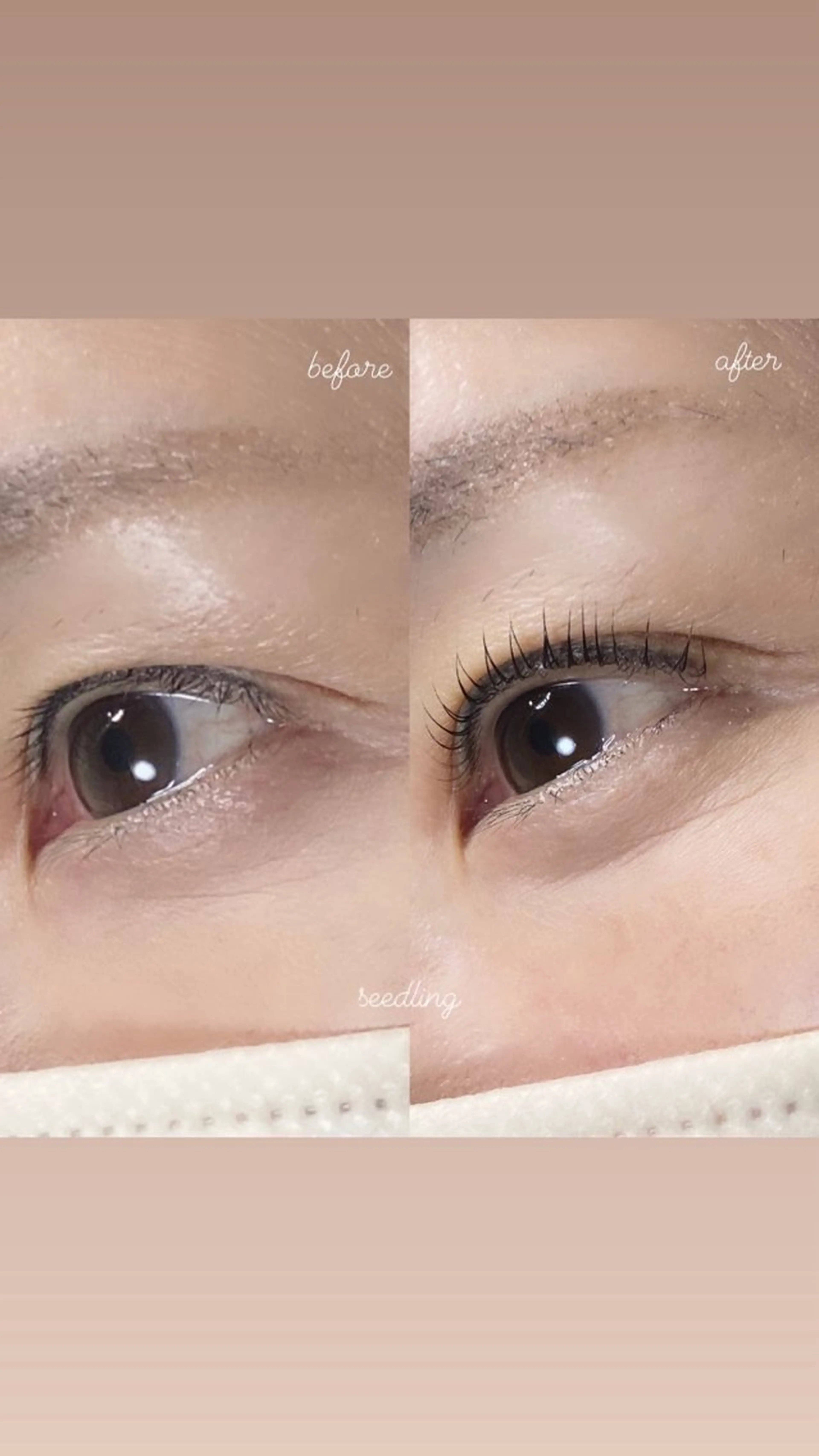 マツエク・マツパ マツパ シードリン 府内店 杉田のマツエク・マツパデザイン