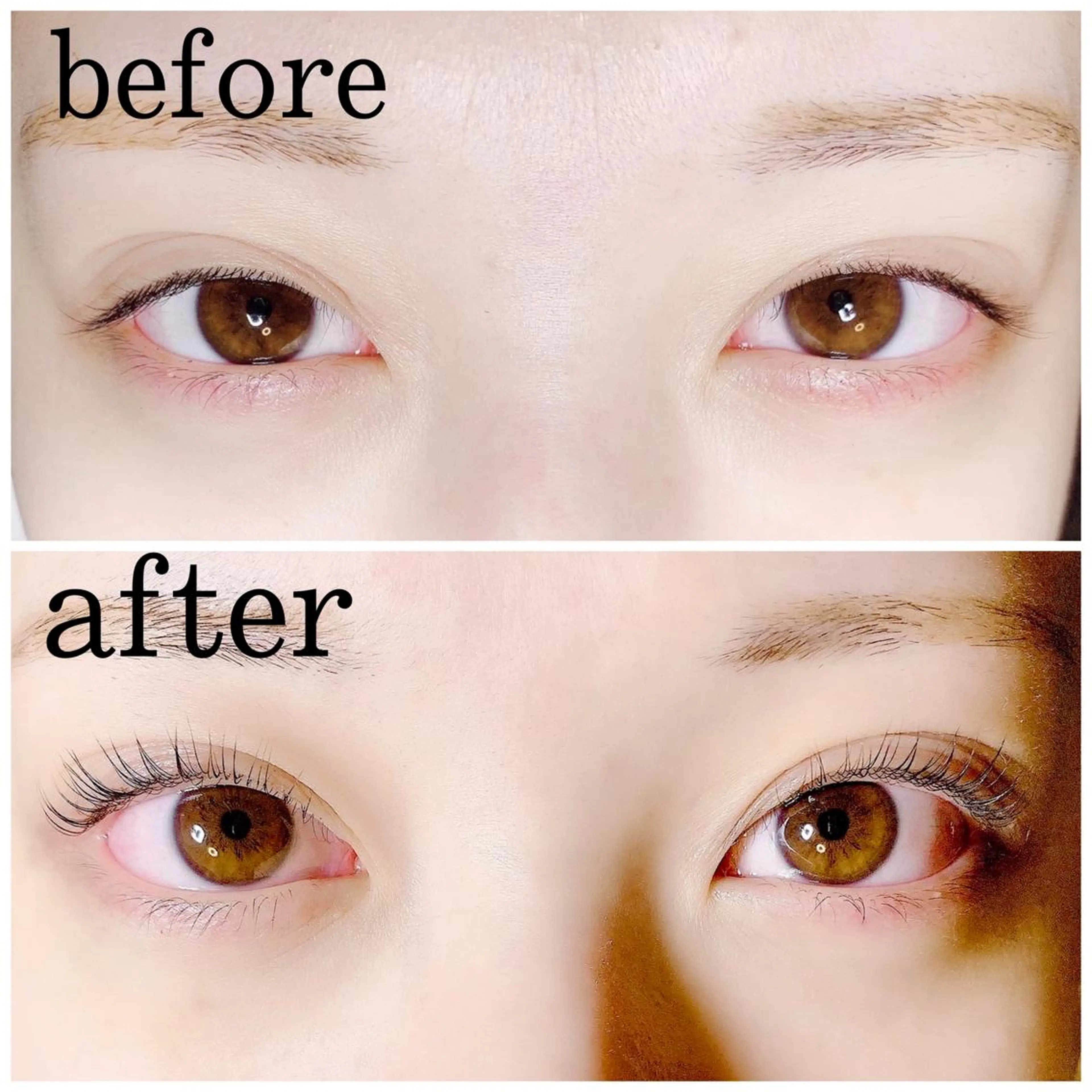 新規様限定⭐️【ラッシュリフト】まつげパーマ上☆カール持続UPコーティング付き🌈の写真