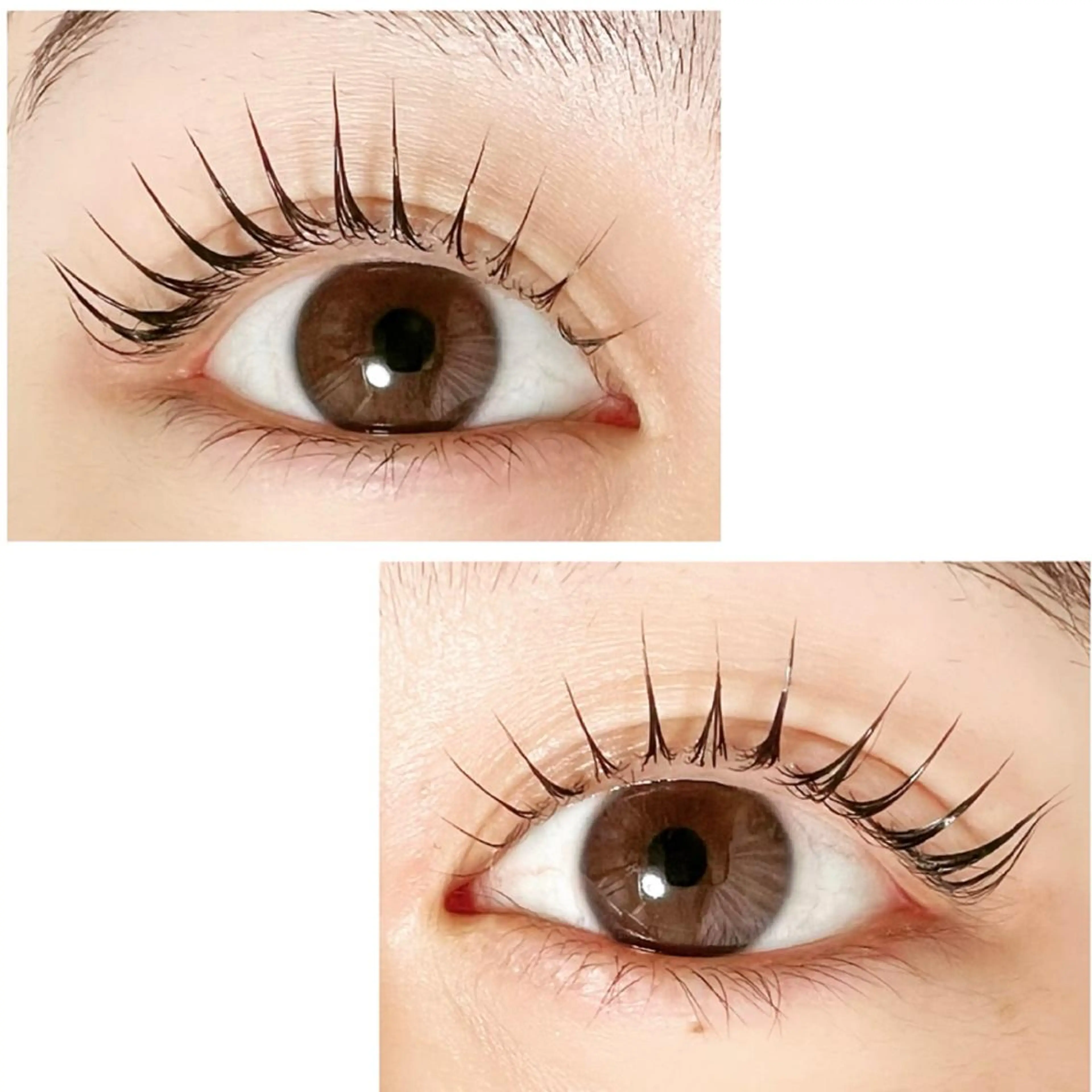 マツエク・マツパ Adorer(アドレ)所属・Adorer 🍀アドレ🍀のマツエク・マツパデザイン