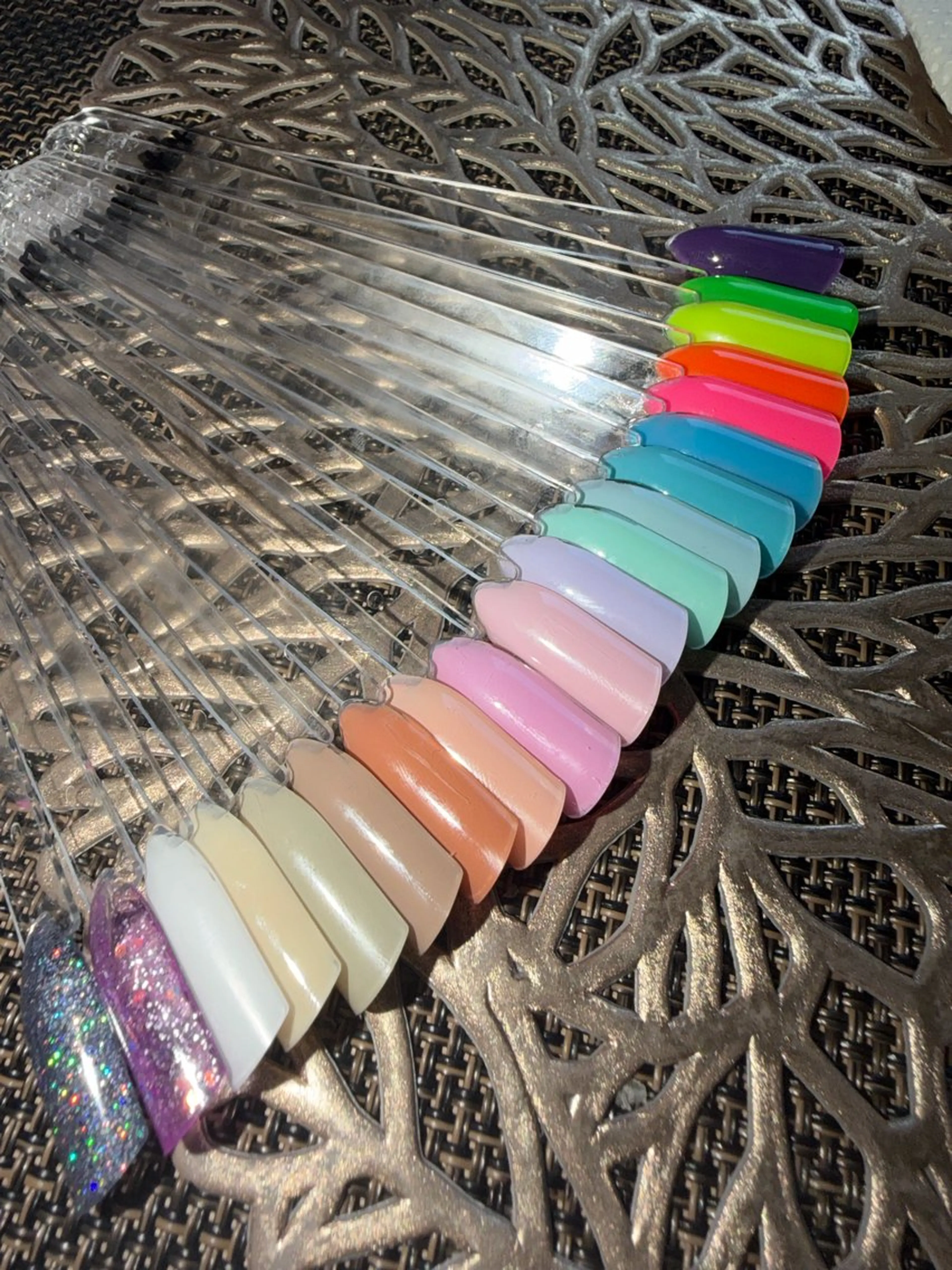 ワンカラーの写真