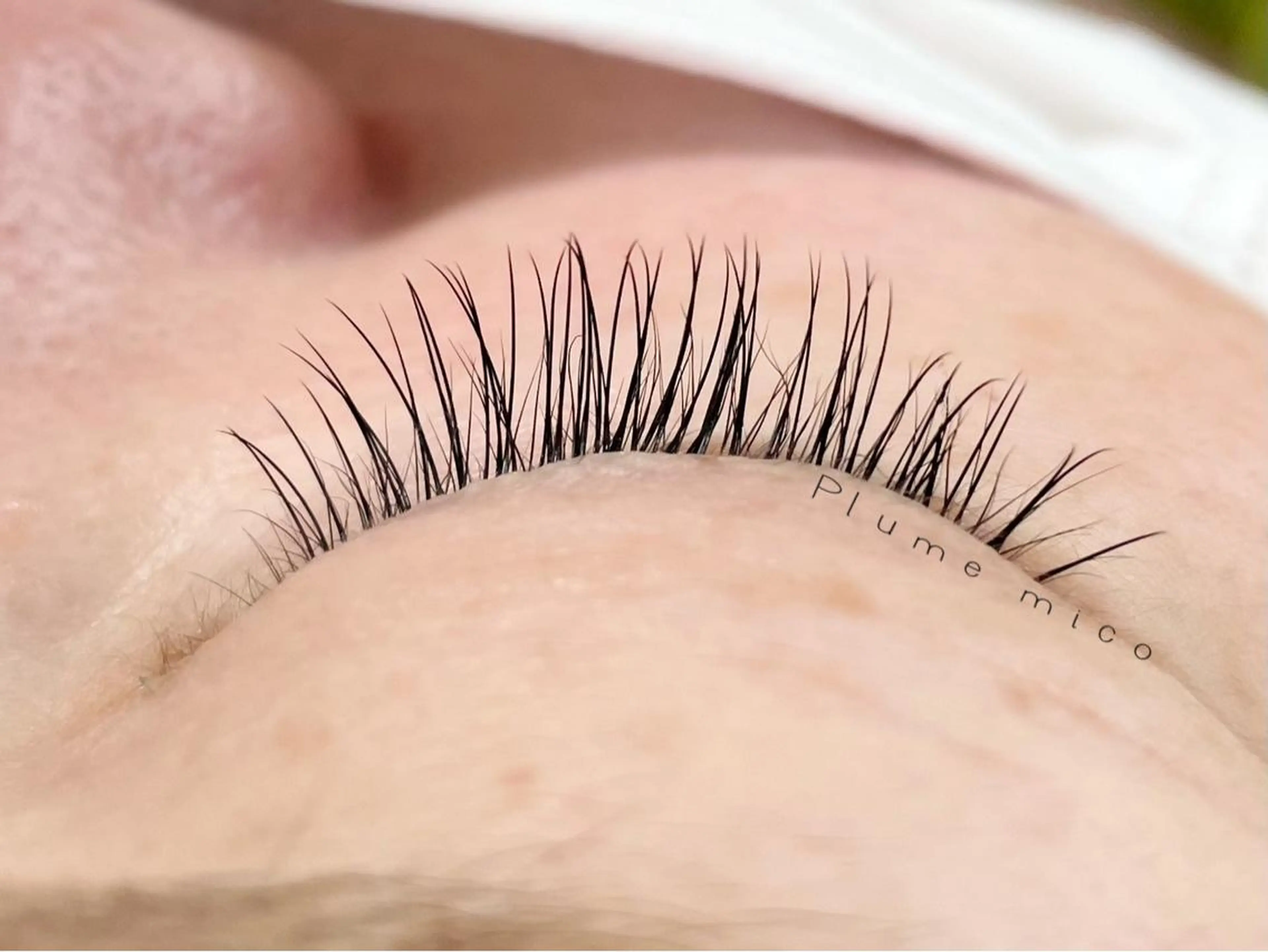 マツエク・マツパ マツエク Plume micoのマツエク・マツパデザイン