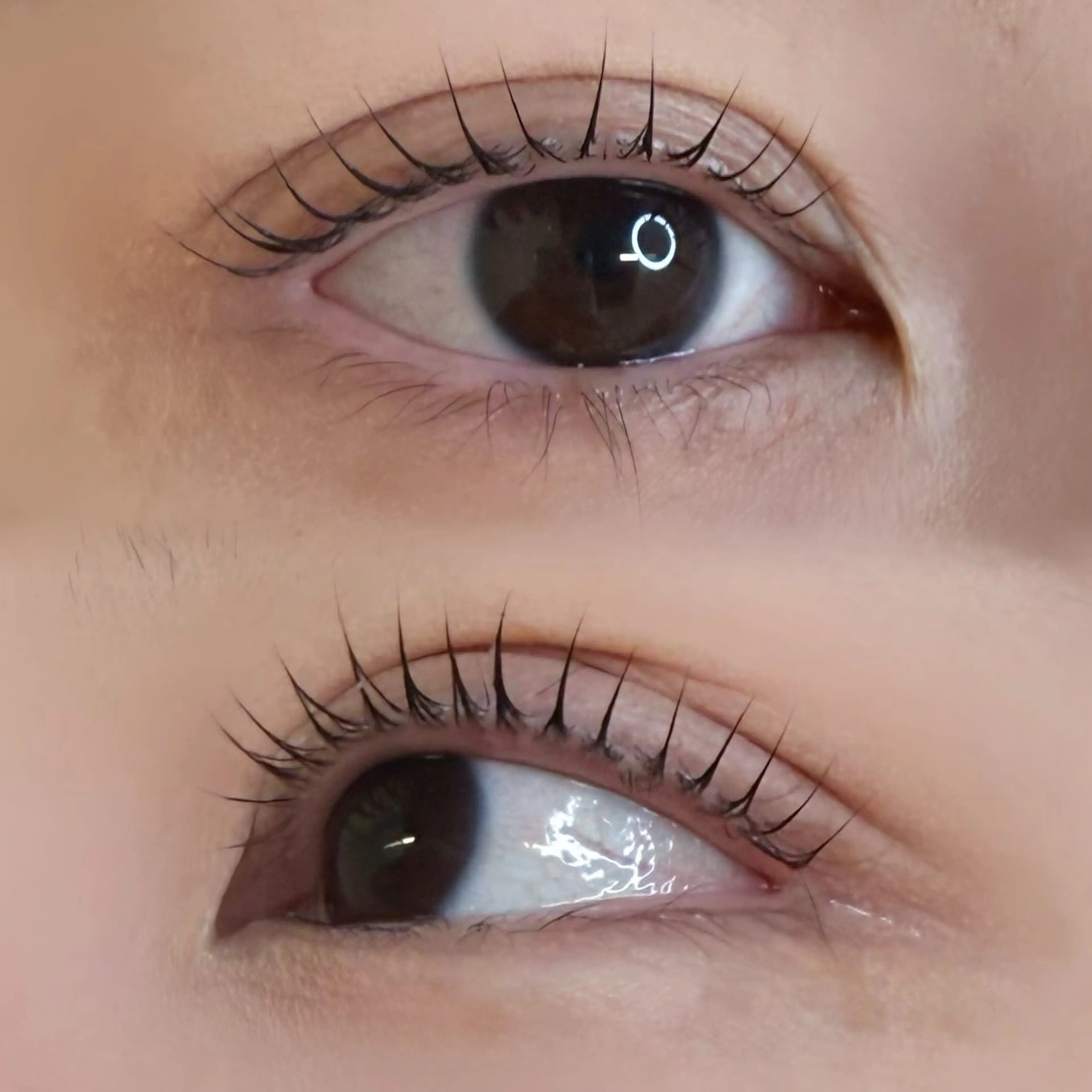 マツエク・マツパ mila.天神今泉店 Rihoのマツエク・マツパデザイン