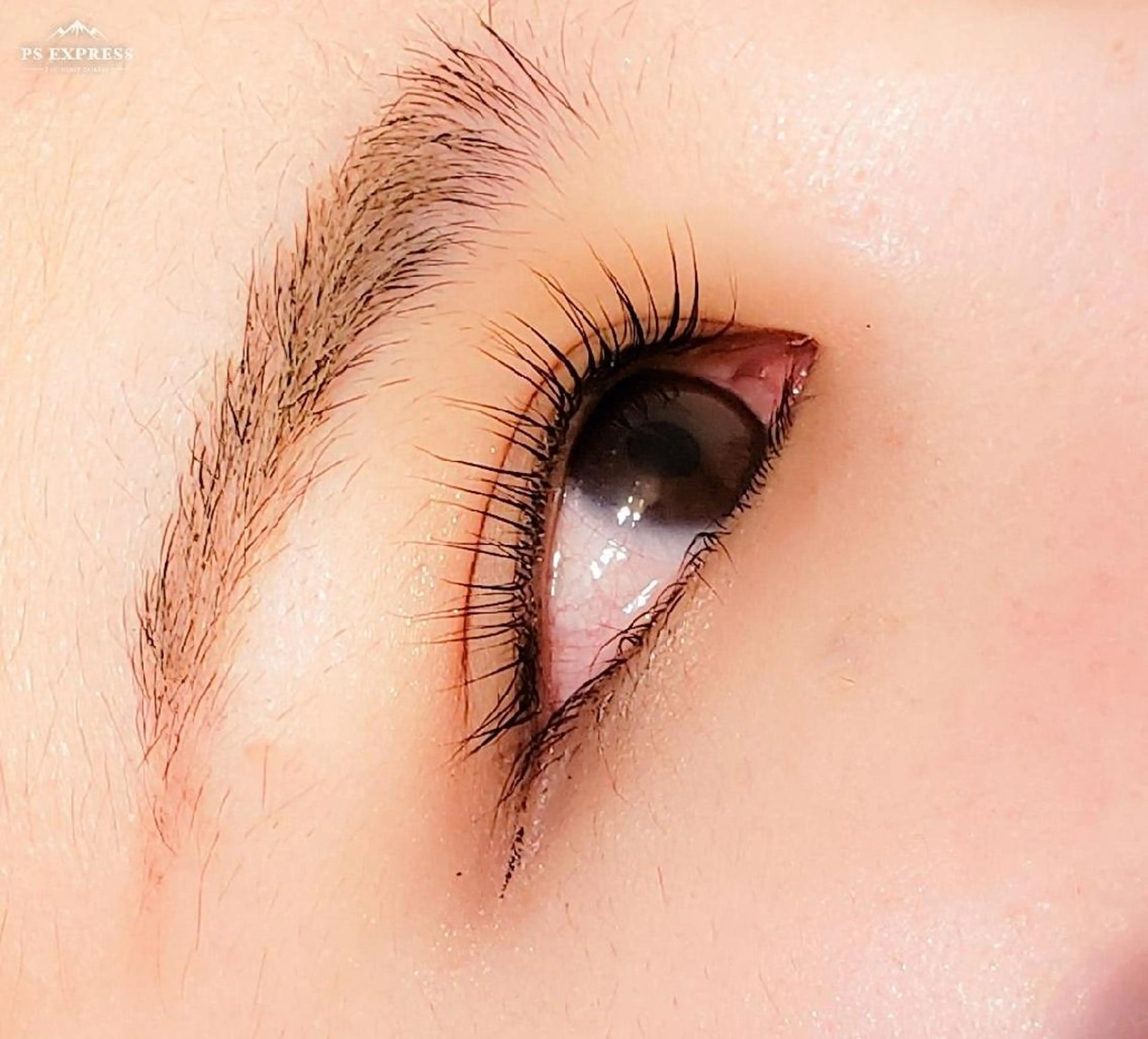 マツエク・マツパ 一重×まつ毛パーマ 個室サロンcopel 　kishimotoのマツエク・マツパデザイン