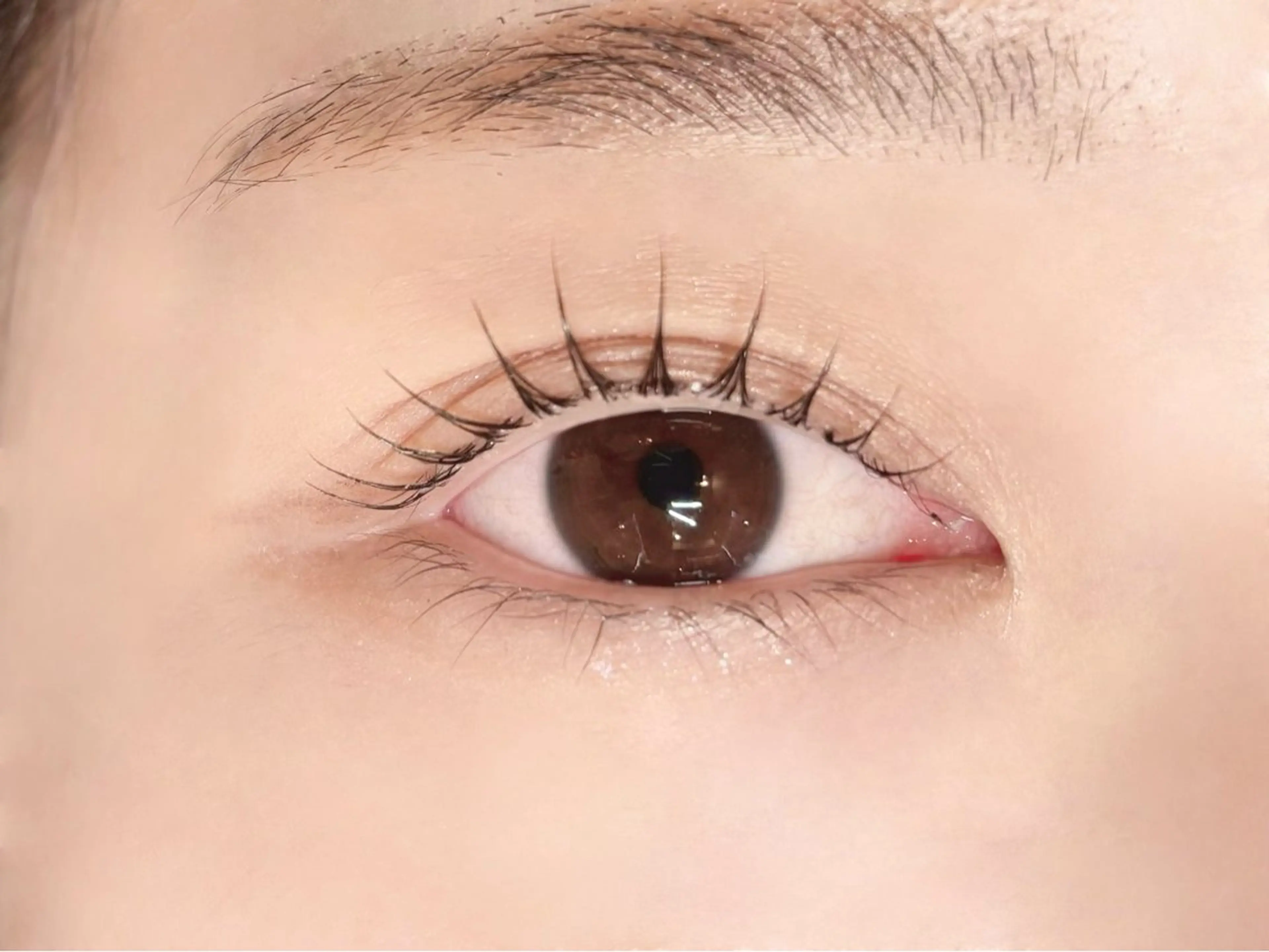 平日🌙似合わせラッシュリフト(上下)コーティング付き🪄︎︎⚠️必ず説明をご確認下さい。の写真