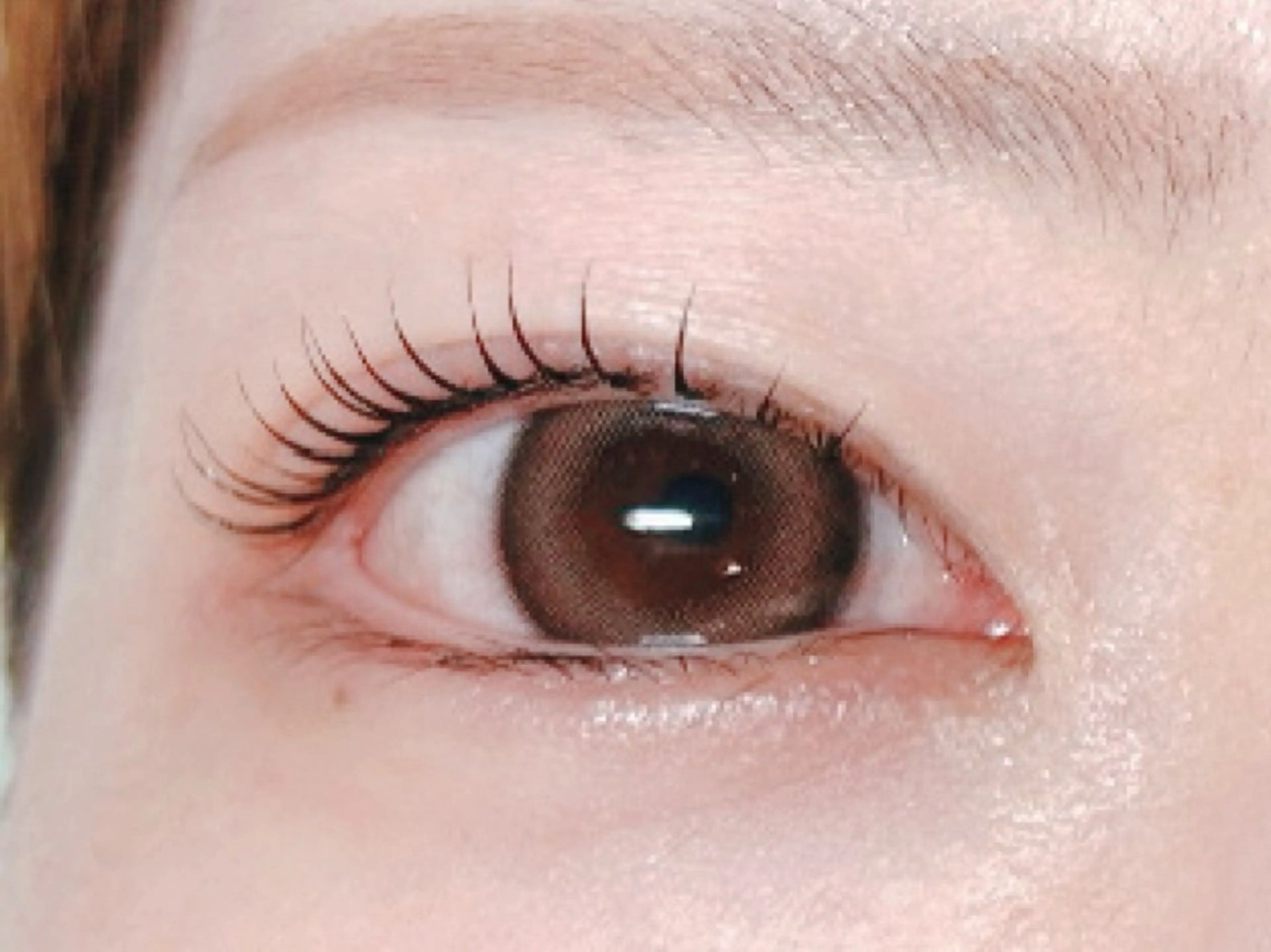 マツエク・マツパ Melia Chieのマツエク・マツパデザイン