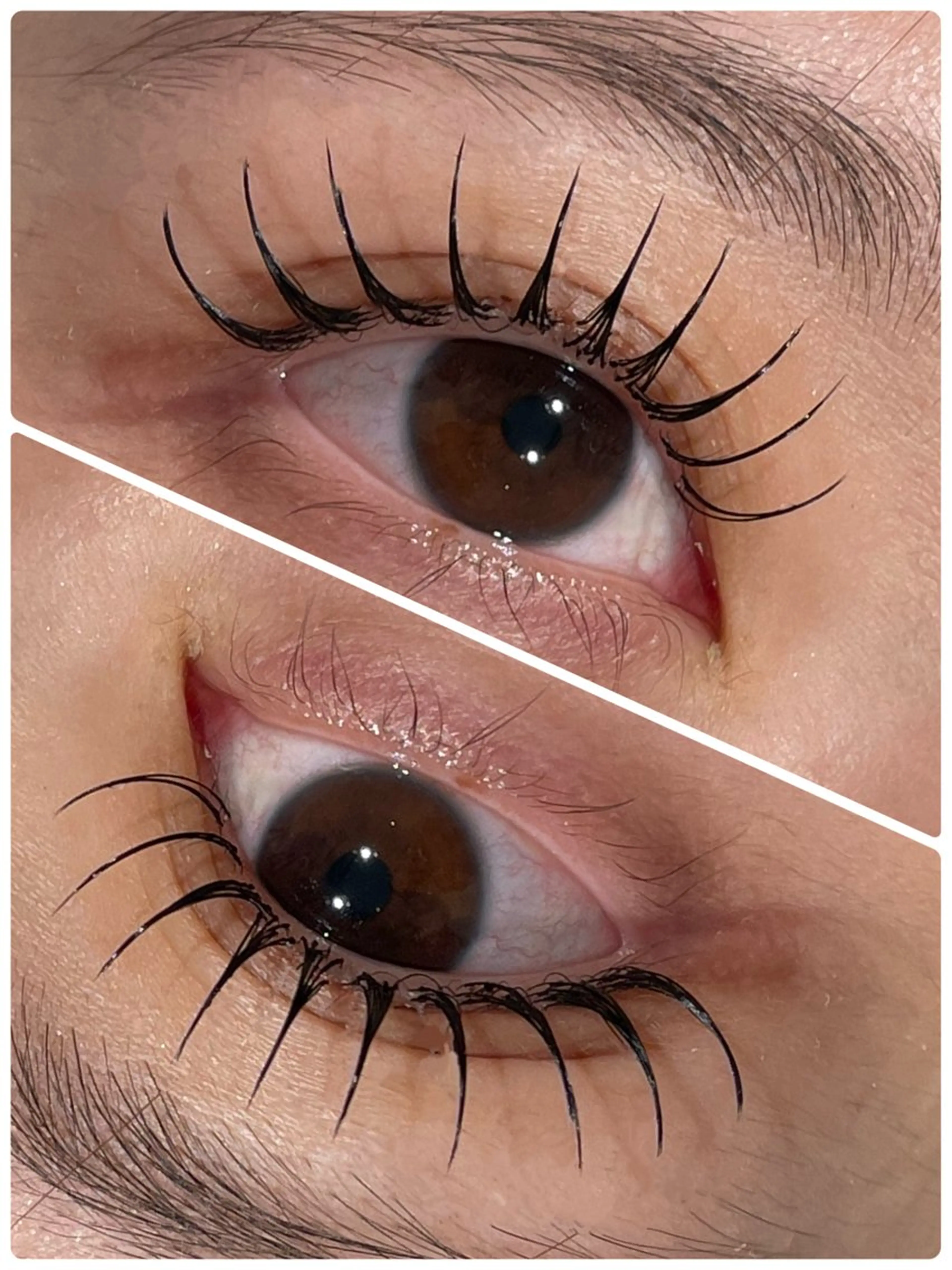 マツエク・マツパ REI 🫧ROYALのマツエク・マツパデザイン