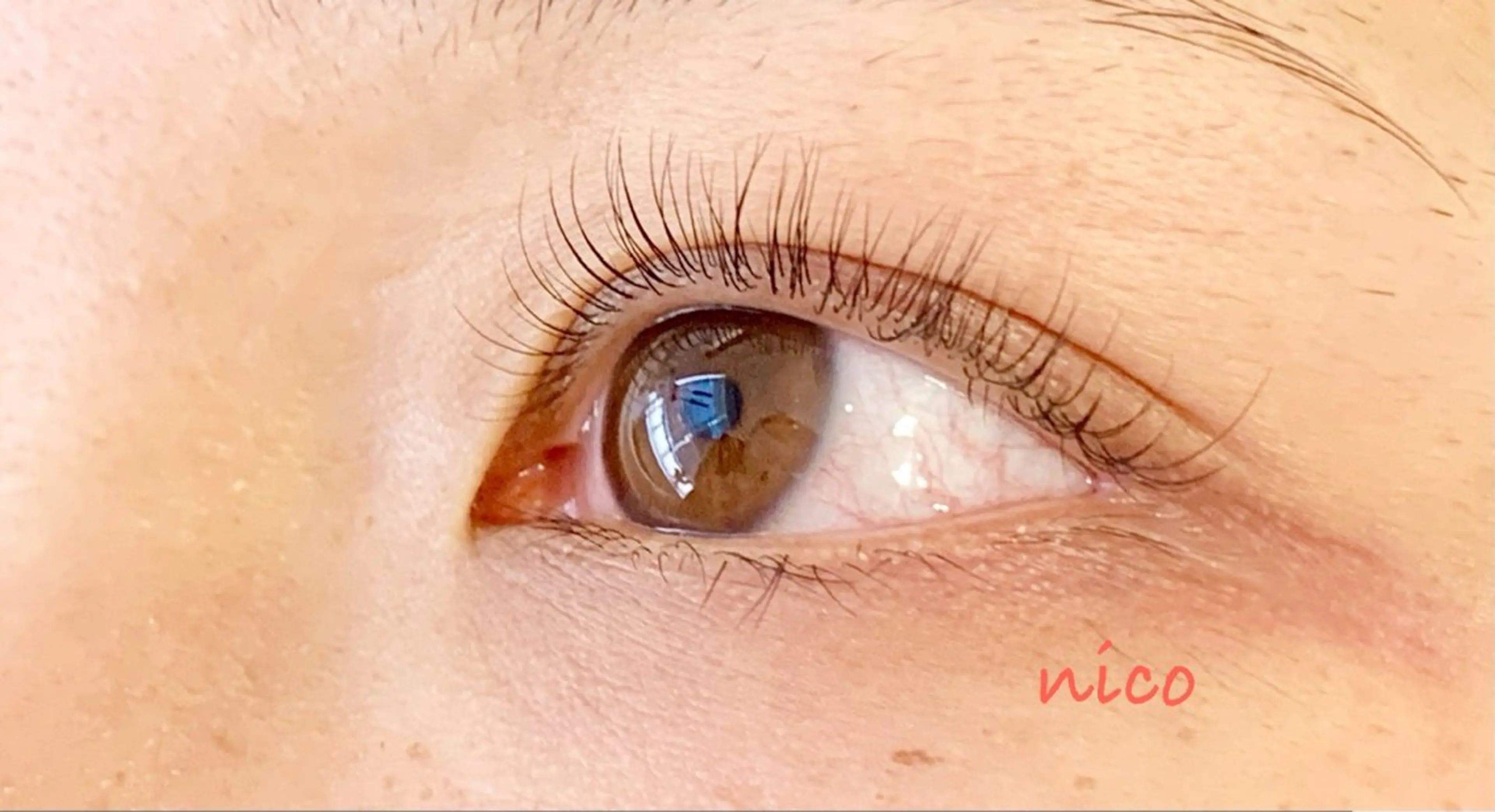 🎀まつ毛パーマ(上)の写真