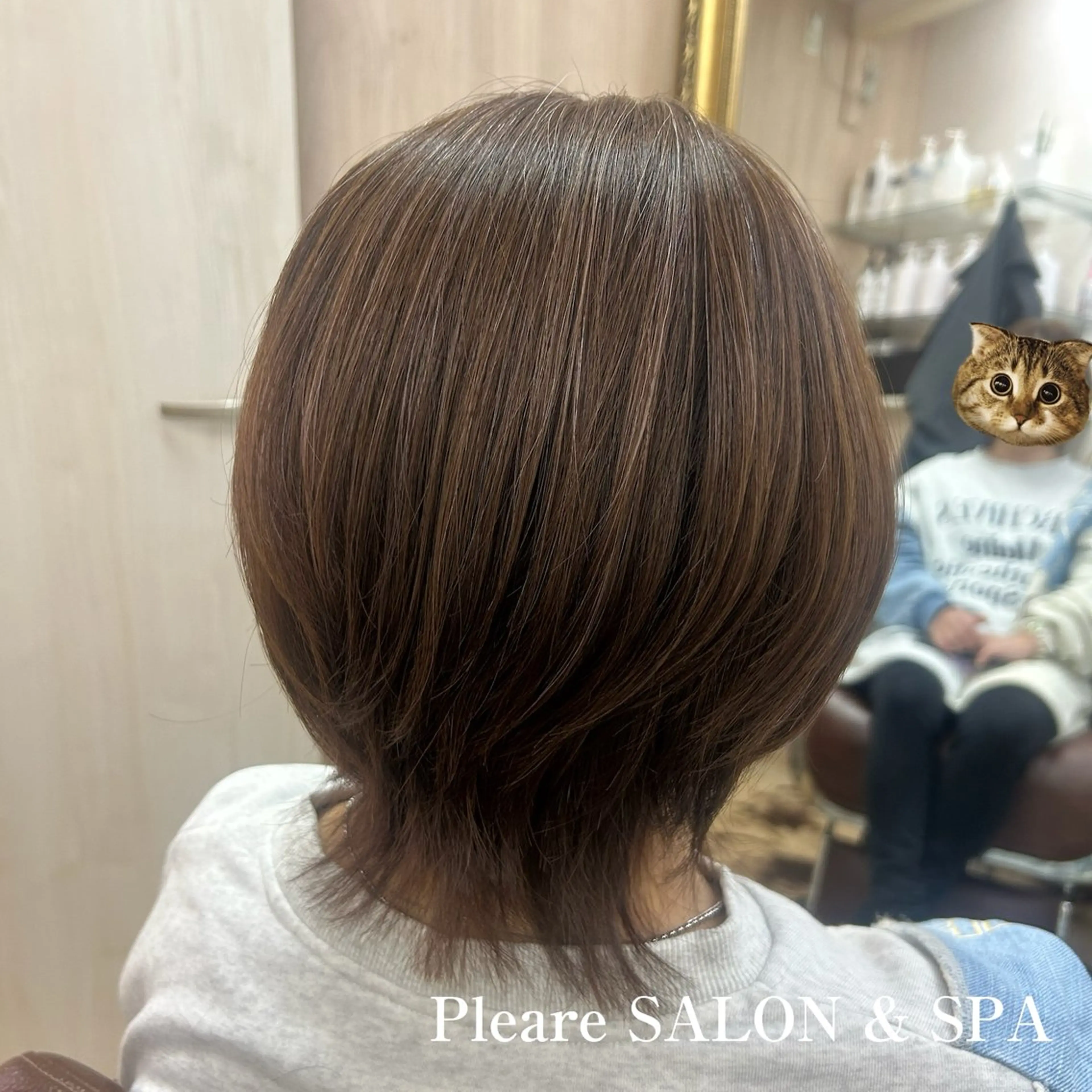 ミディアム カラー ブラウンカラー ボブ 入学式 ウルフカット ウルフボブ カット ヘアカラー トリートメント イワサ カオリのヘアスタイル